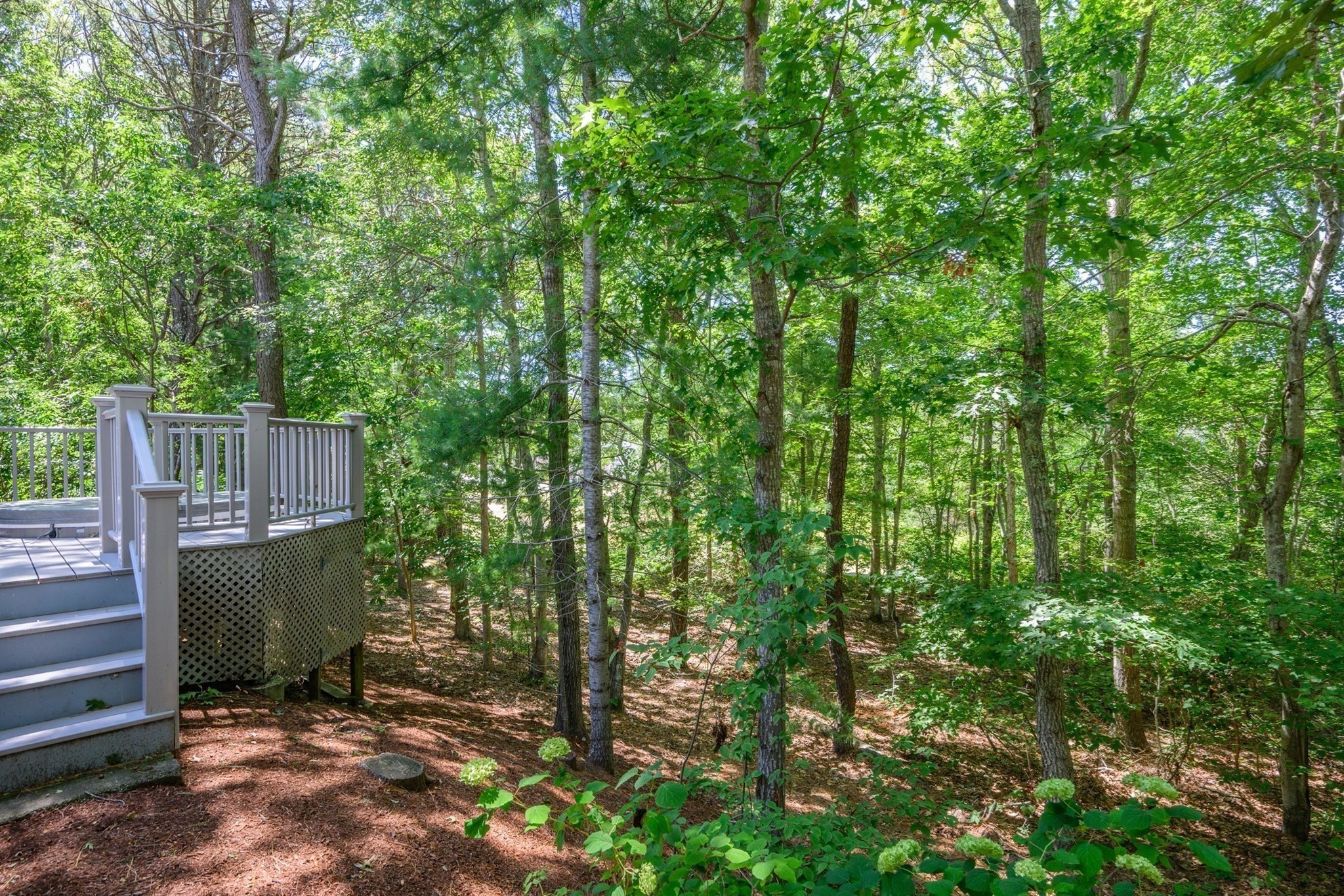 20 Holly Rd, Mashpee, MA 02649 - Image 28