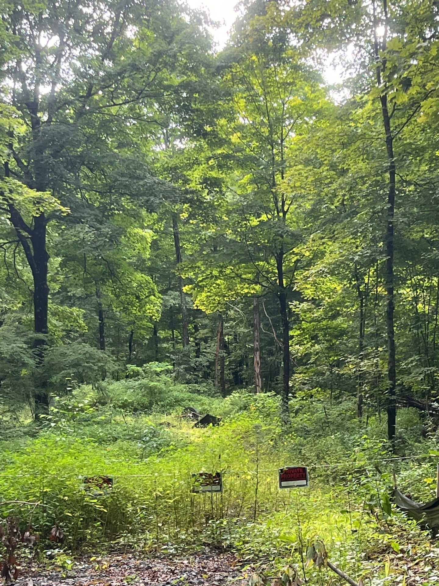  17.04 & 17.05 Sabin Street, Belchertown, MA 01007 - Image 3