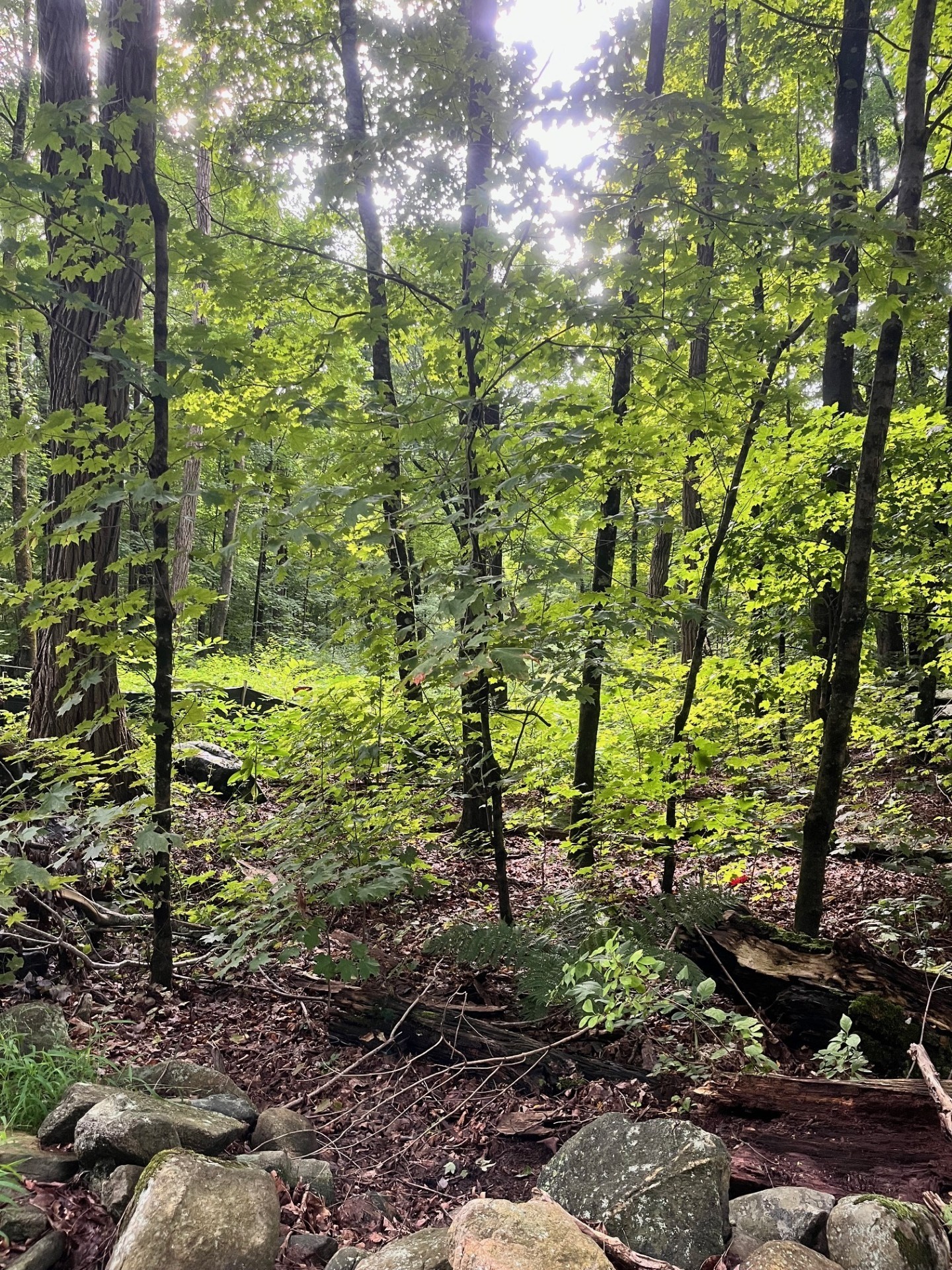  17.04 & 17.05 Sabin Street, Belchertown, MA 01007 - Image 4