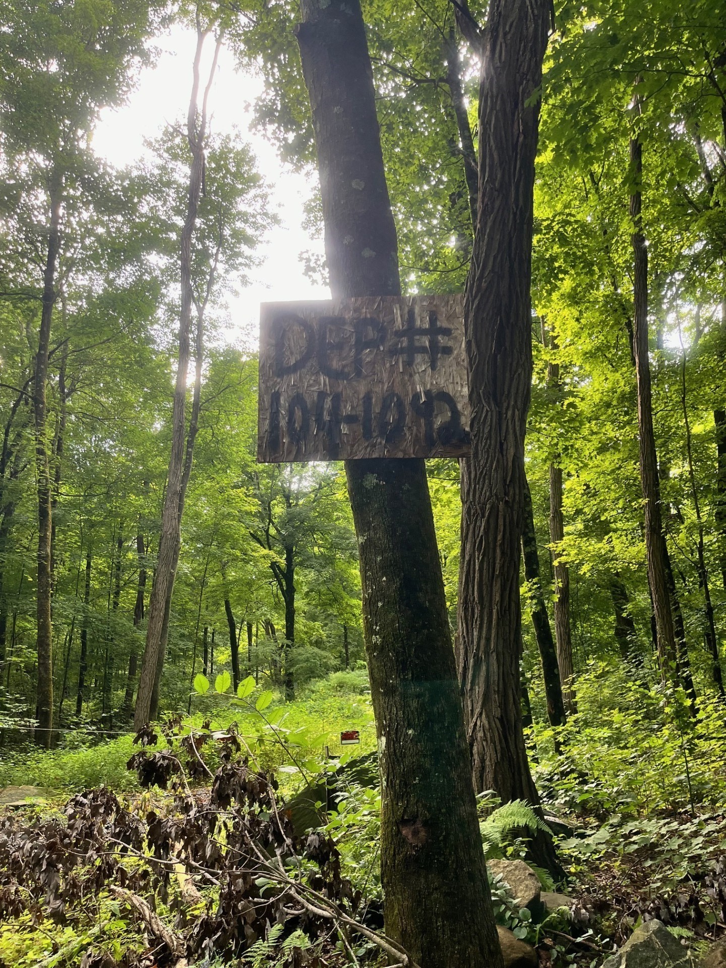  17.04 & 17.05 Sabin Street, Belchertown, MA 01007 - Image 5