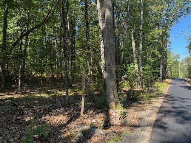 13 Asylum, Mendon, MA 01756 - Image 6