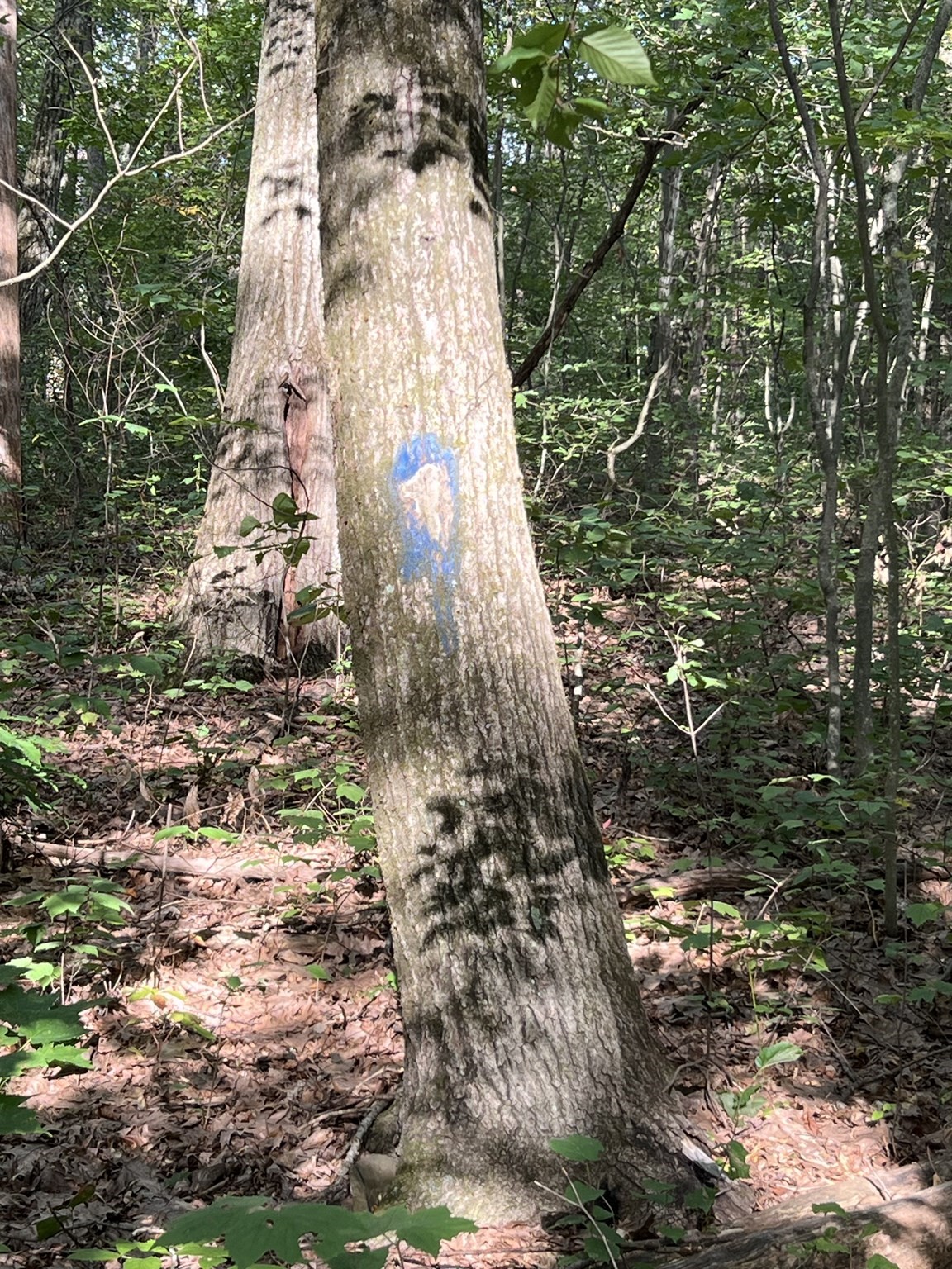 7 Southbridge Rd, Warren, MA 01083 - Image 2