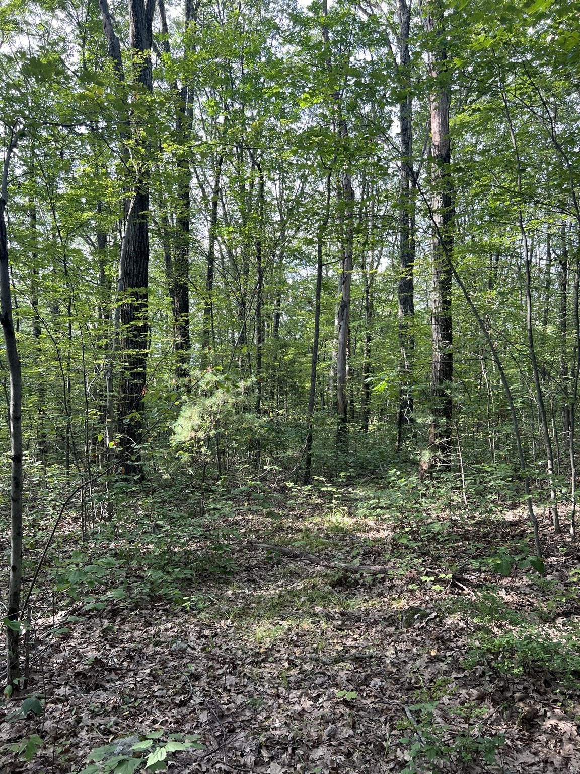 7 Southbridge Rd, Warren, MA 01083 - Image 3