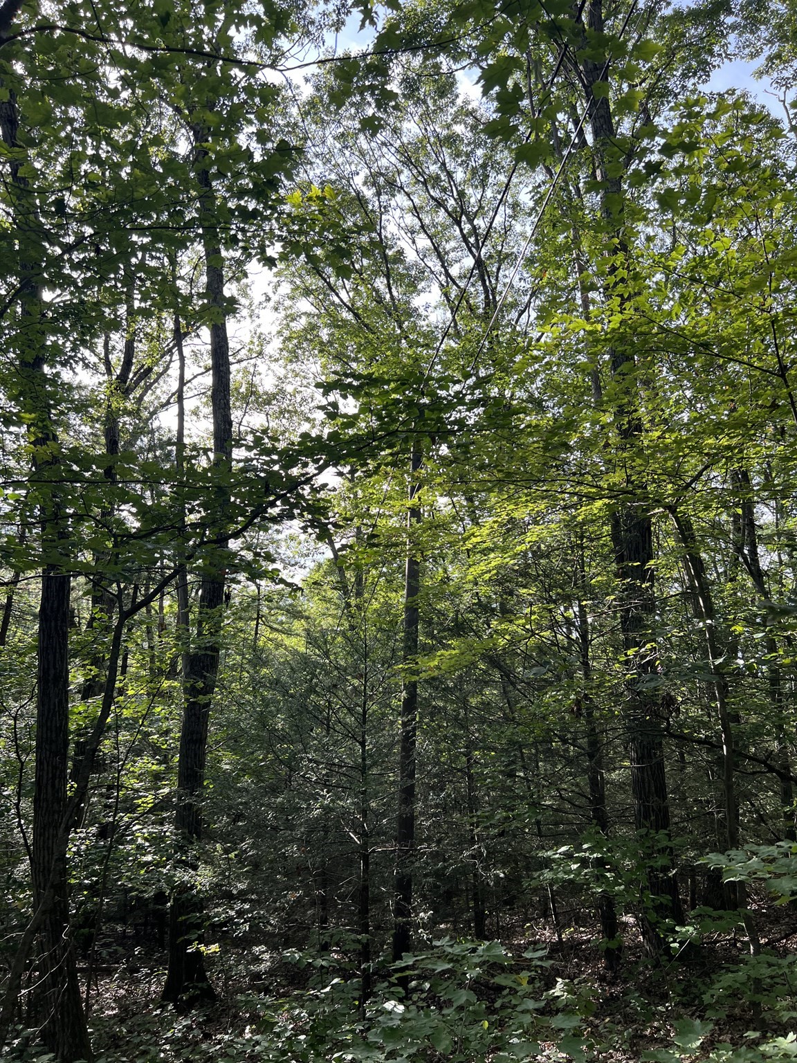 8 Southbridge Rd, Warren, MA 01083 - Image 2