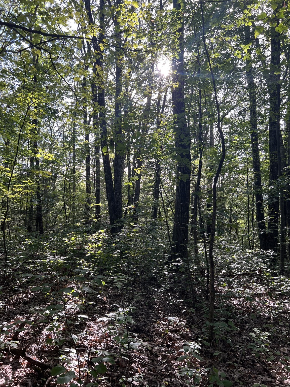 8 Southbridge Rd, Warren, MA 01083 - Image 3