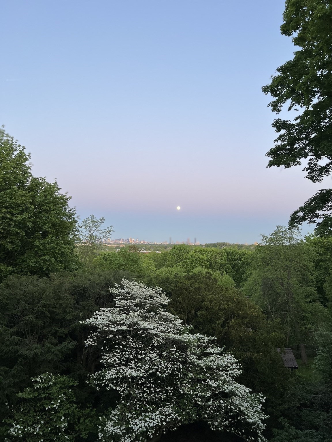 33 Wellington Lane, Belmont, MA 02478