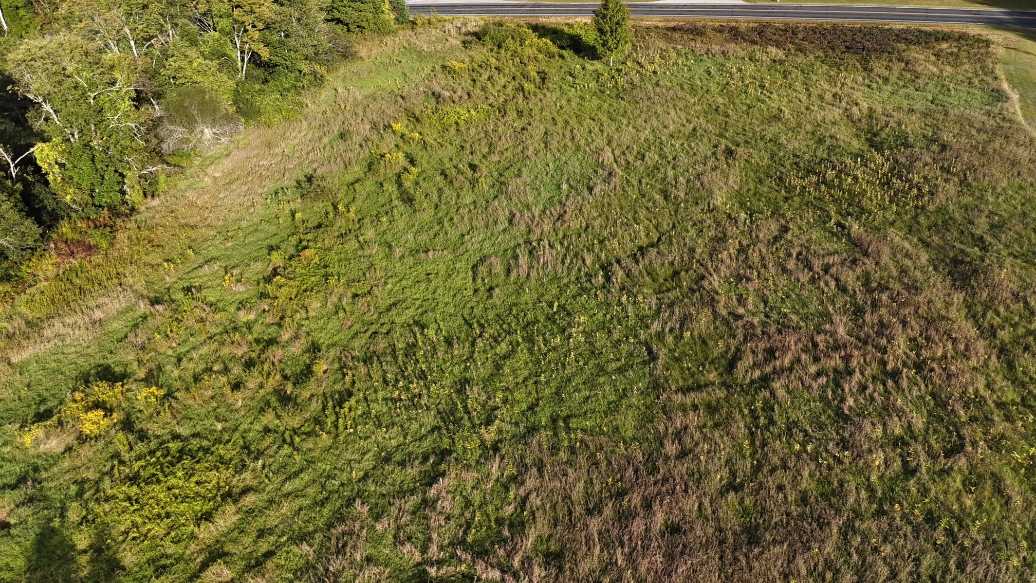 0 Lower Rd, Hardwick, MA 01037 - Image 4