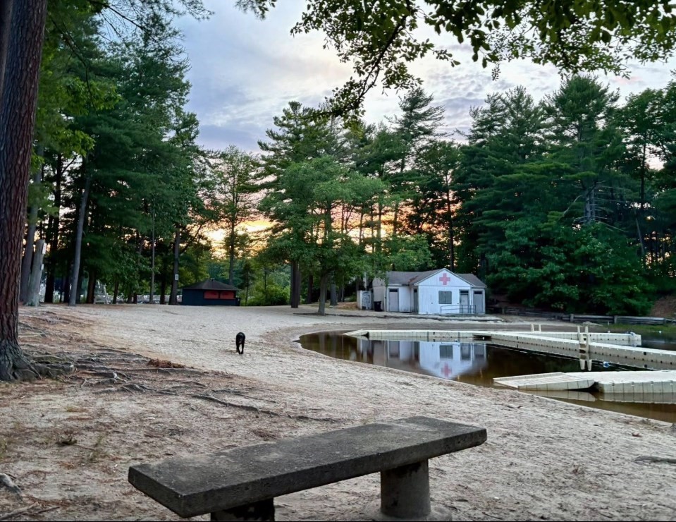 64 Centre Ave Unit 1, Abington, MA 02351 - Image 33