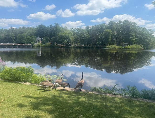 64 Centre Ave Unit 1, Abington, MA 02351 - Image 35