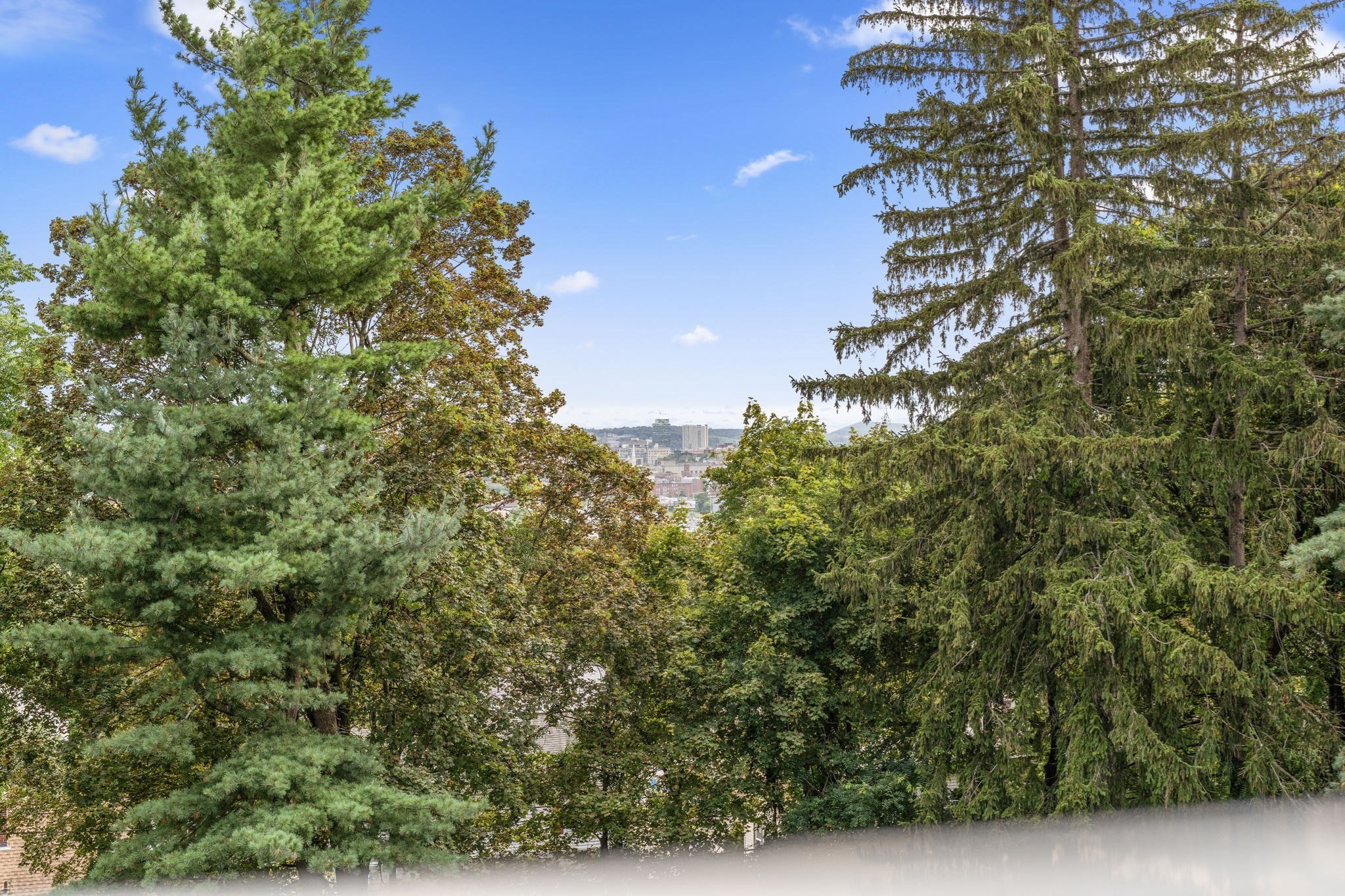 37 Kenwood Ave, Worcester, MA 01605 - Image 28