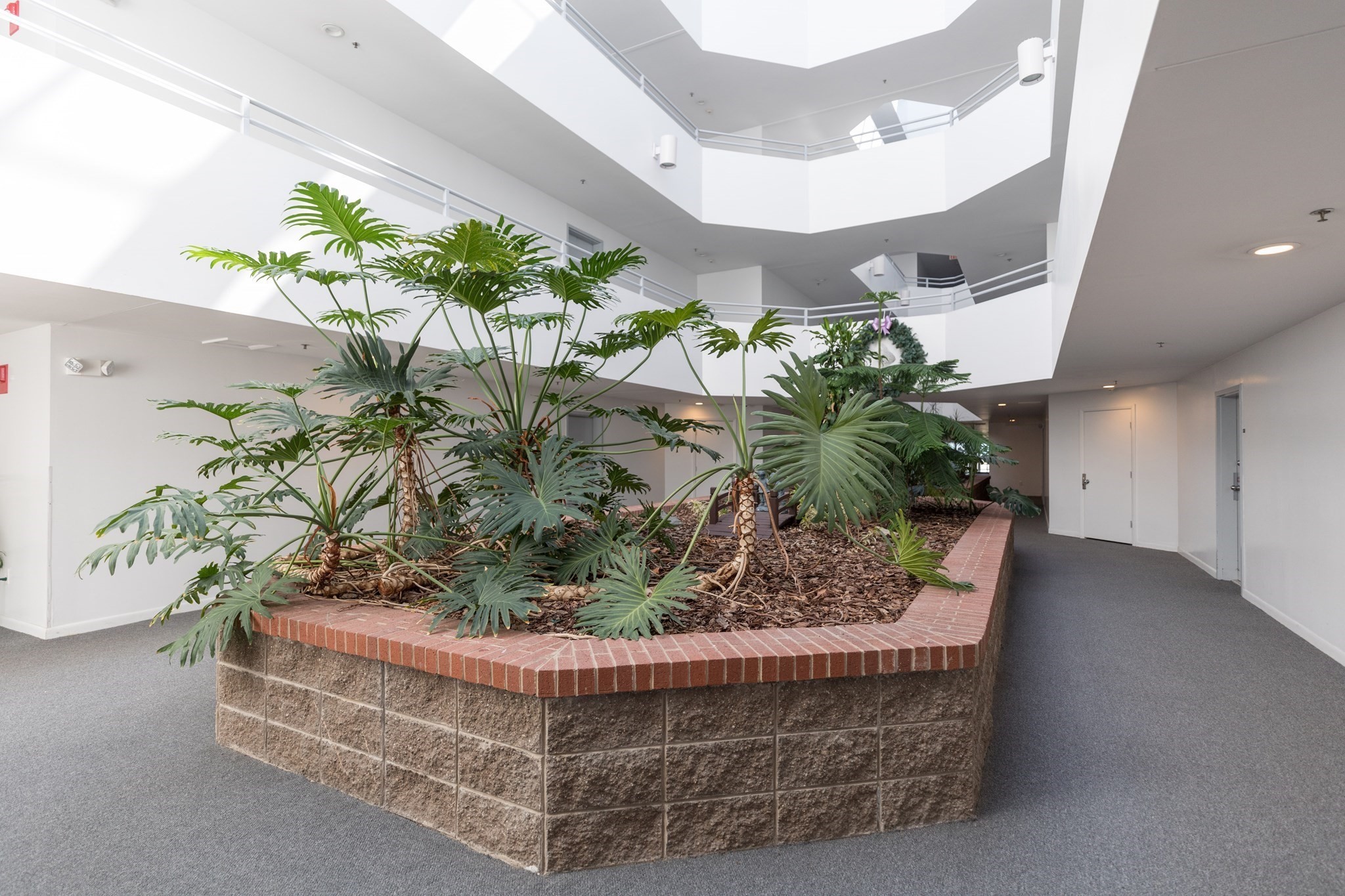 1 Carey Cir Unit 409, Revere, MA 02151 - Image 24