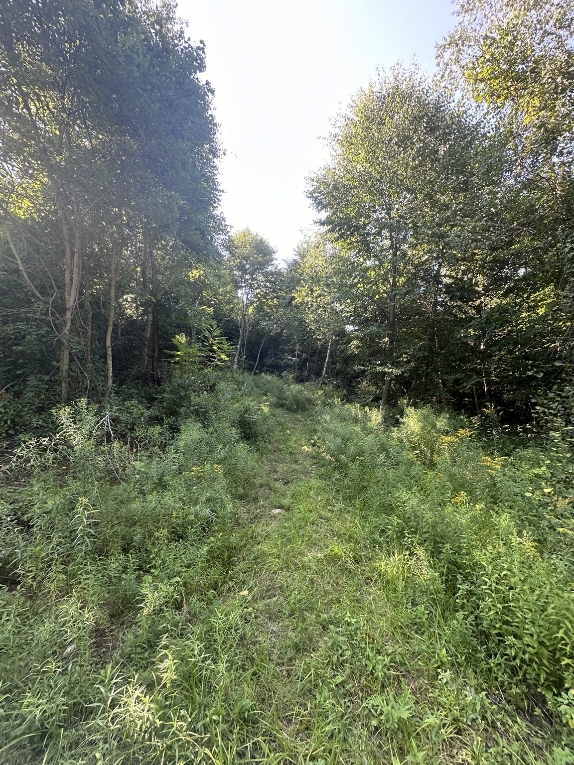 2 Brimfield Road, Warren, MA 01083 - Image 5