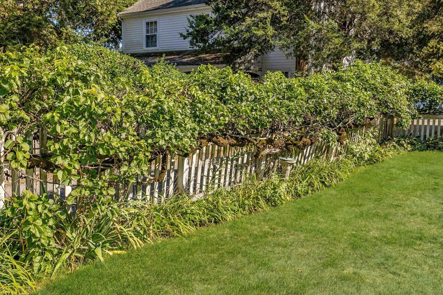 394 Main Street, Amesbury, MA 01913 - Image 41