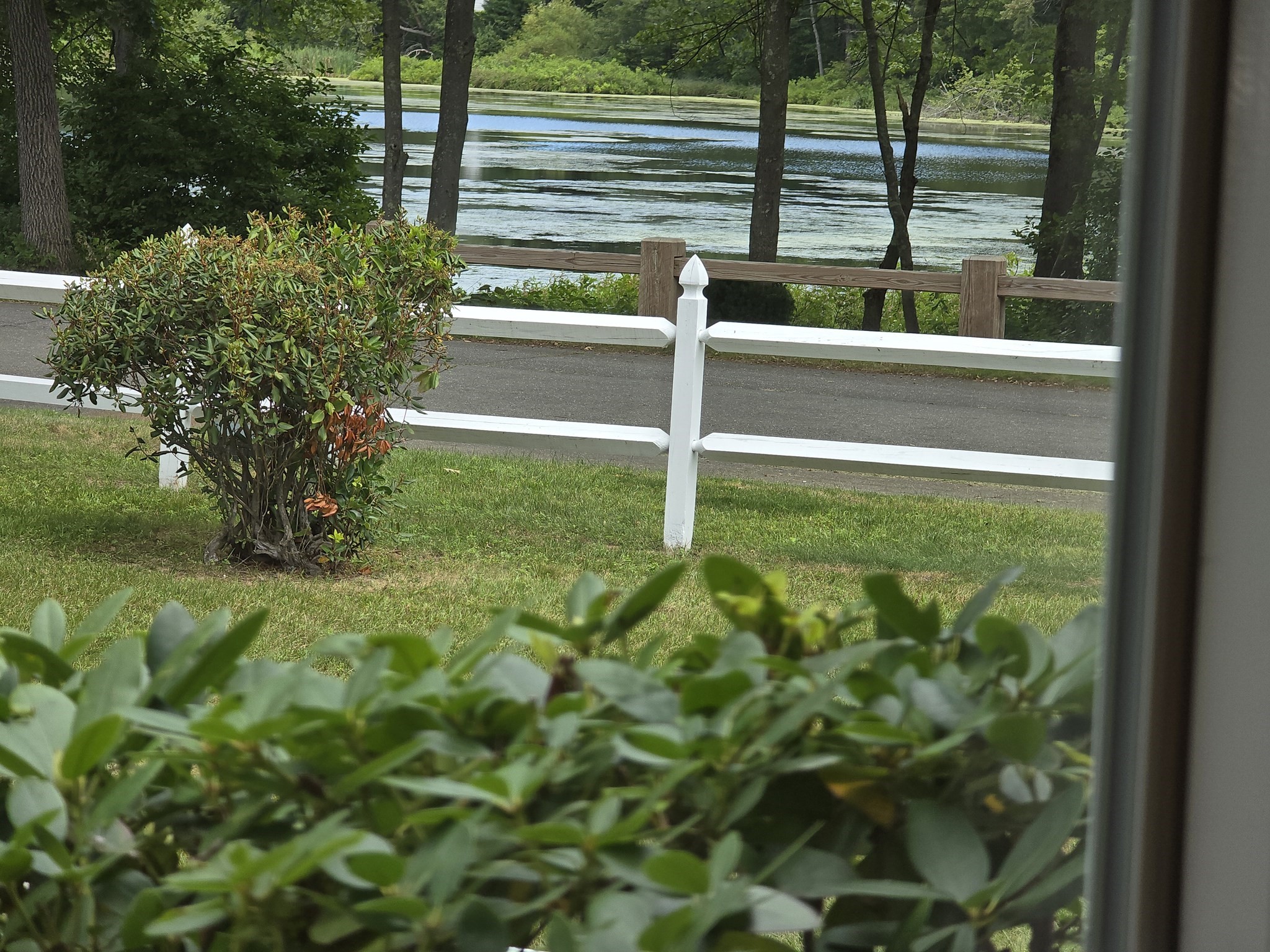 128 Sherwood Rd, Springfield, MA 01119 - Image 29