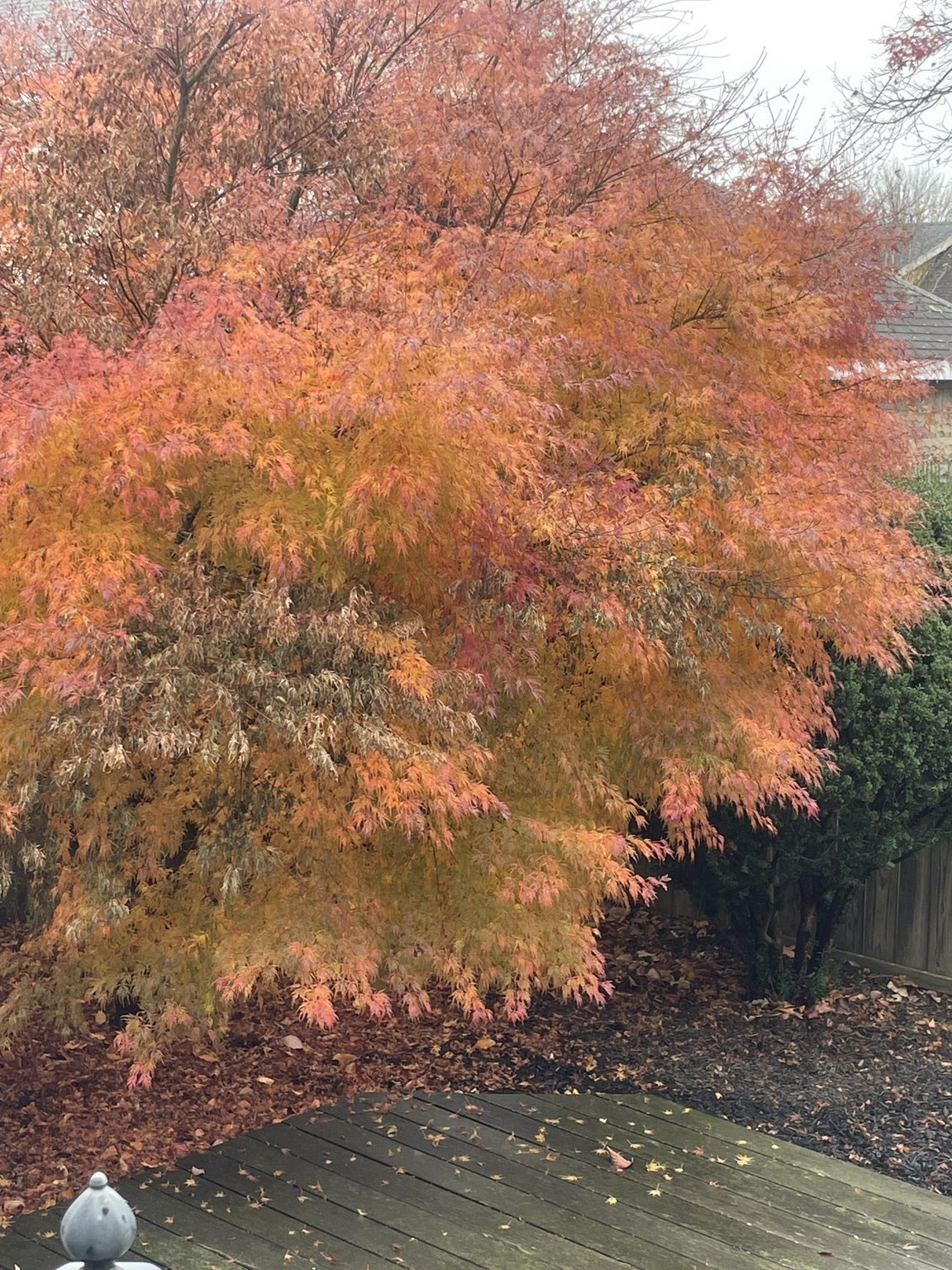 66 Lowell Road, Winthrop, MA 02152 - Image 4