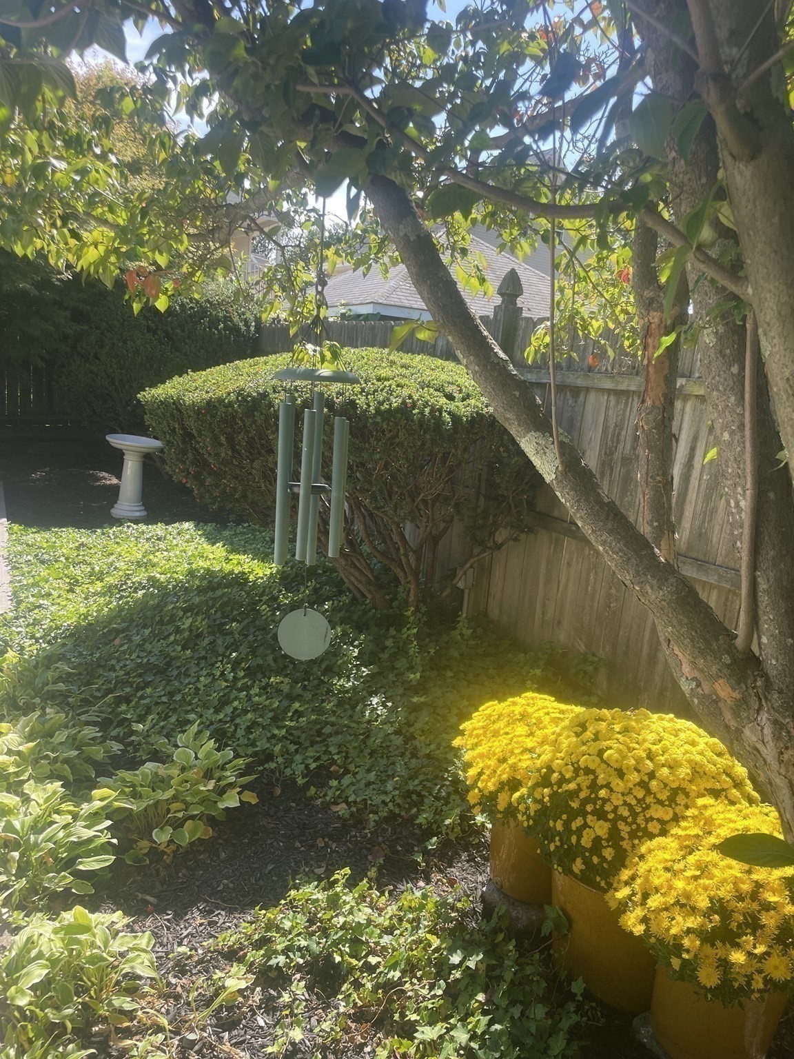 66 Lowell Road, Winthrop, MA 02152 - Image 38