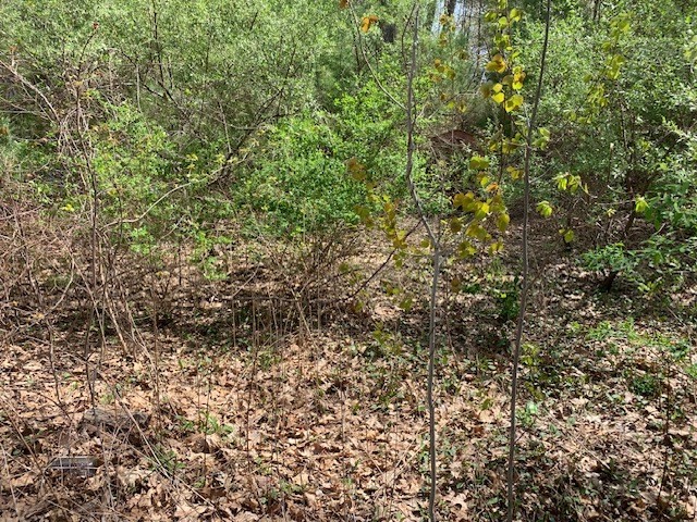 65 Lawrence Street, Northborough, MA 01532 - Image 3