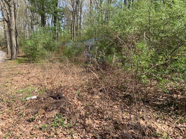 65 Lawrence Street, Northborough, MA 01532 - Image 5