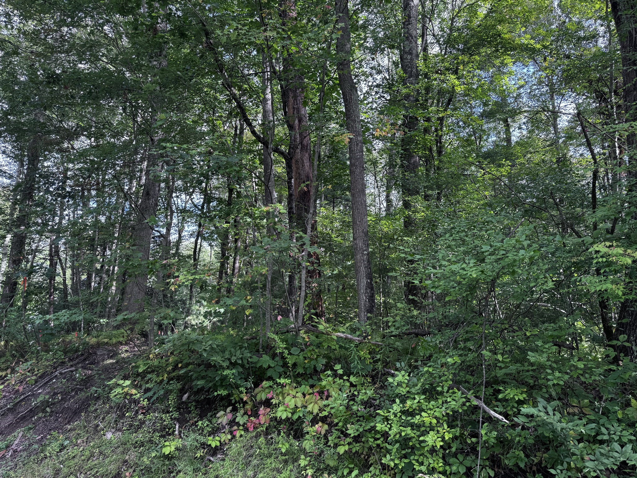 16 Rice Corner Rd., Brookfield, MA 01506 - Image 3