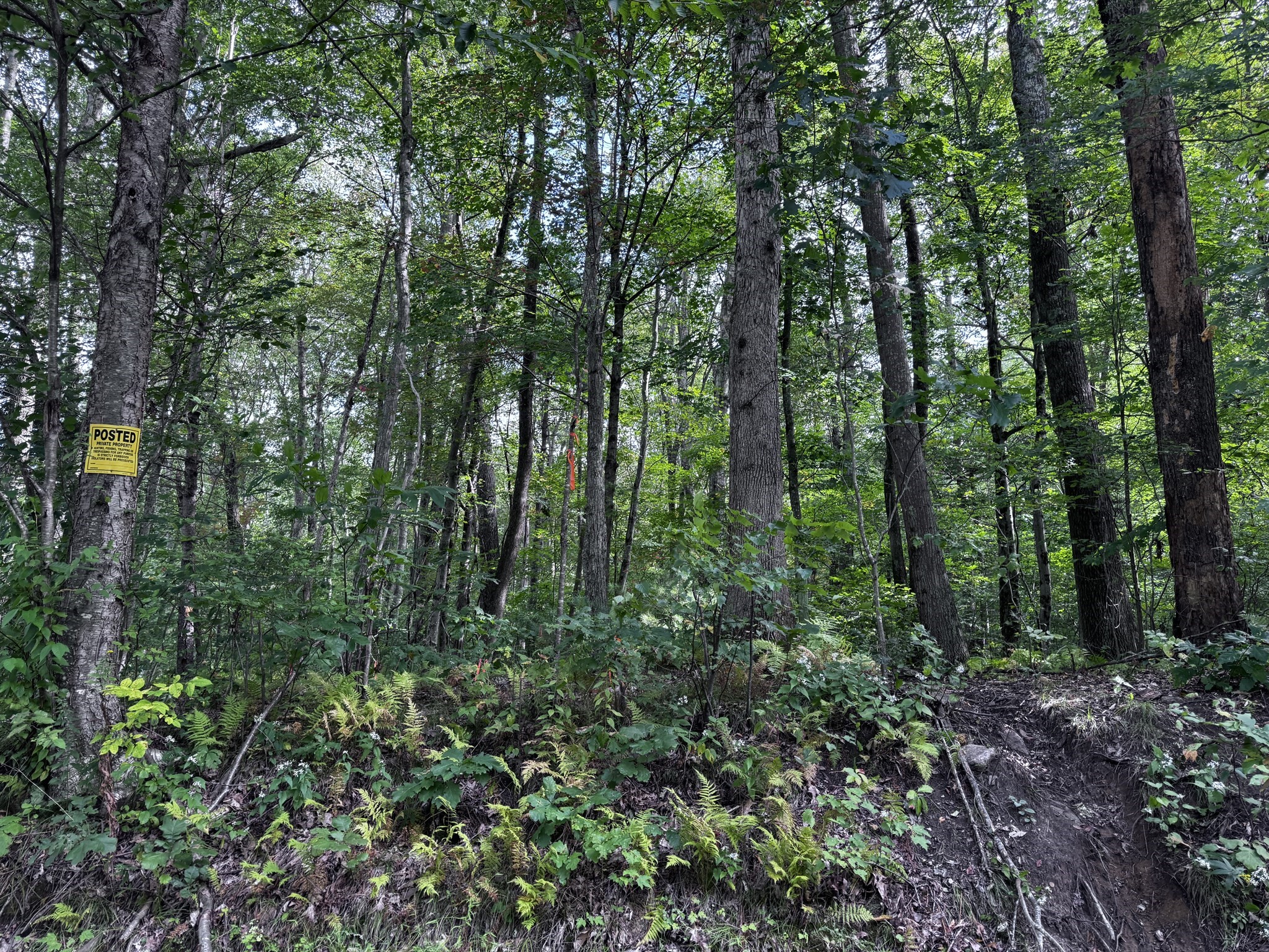 16 Rice Corner Rd., Brookfield, MA 01506 - Image 6