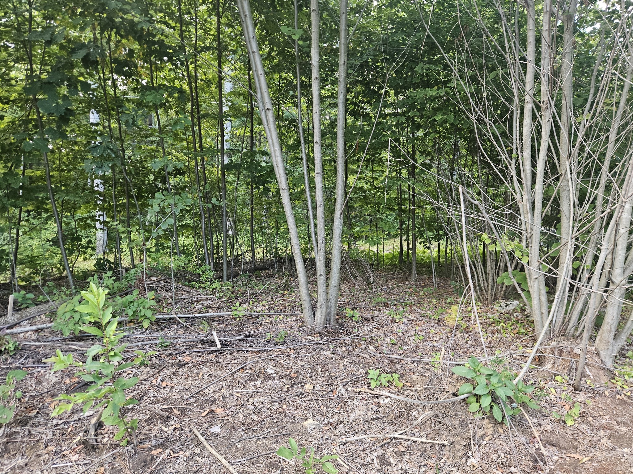 379 Adams, New Braintree, MA 01531 - Image 11