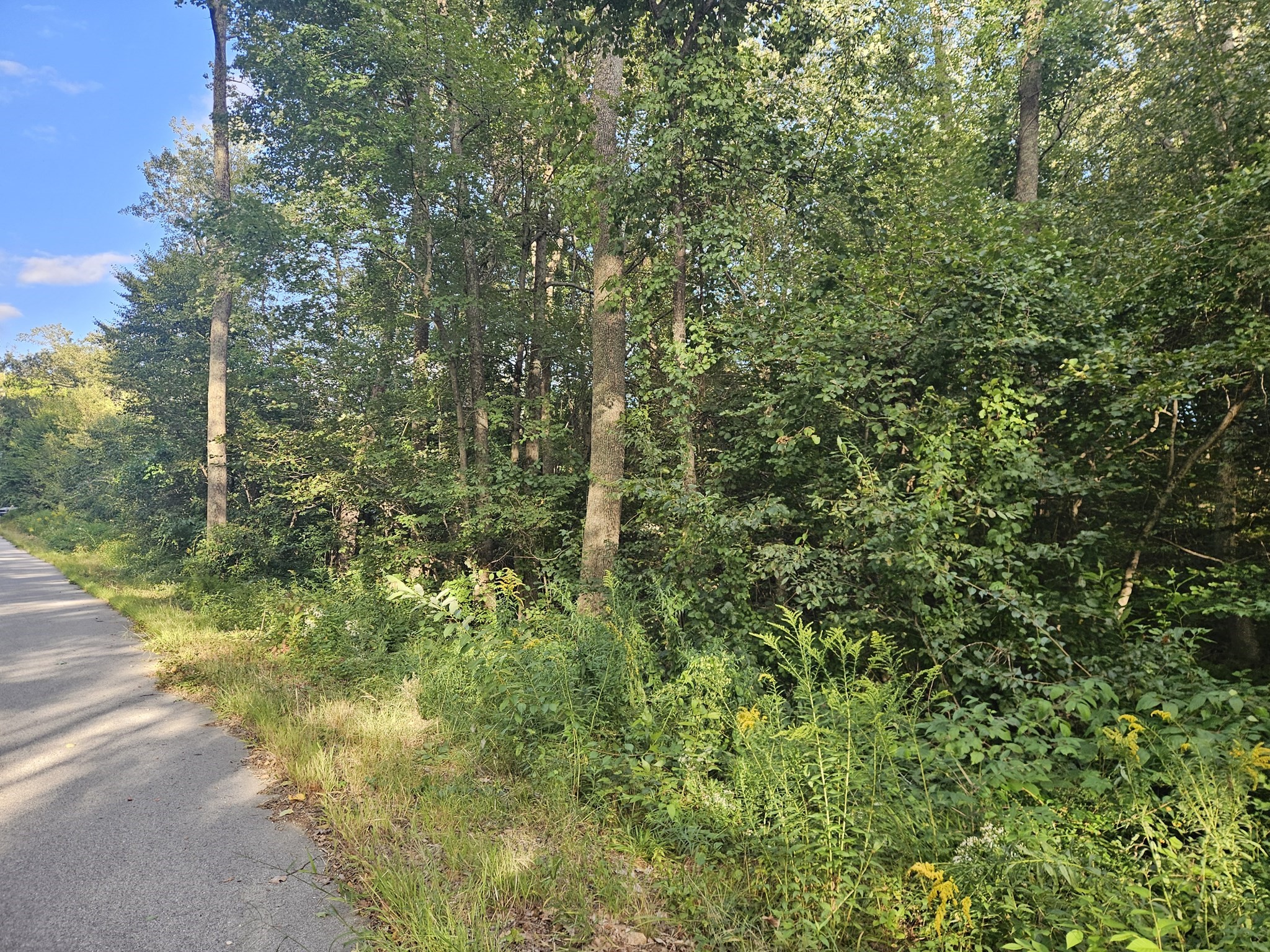 379 Adams, New Braintree, MA 01531 - Image 15