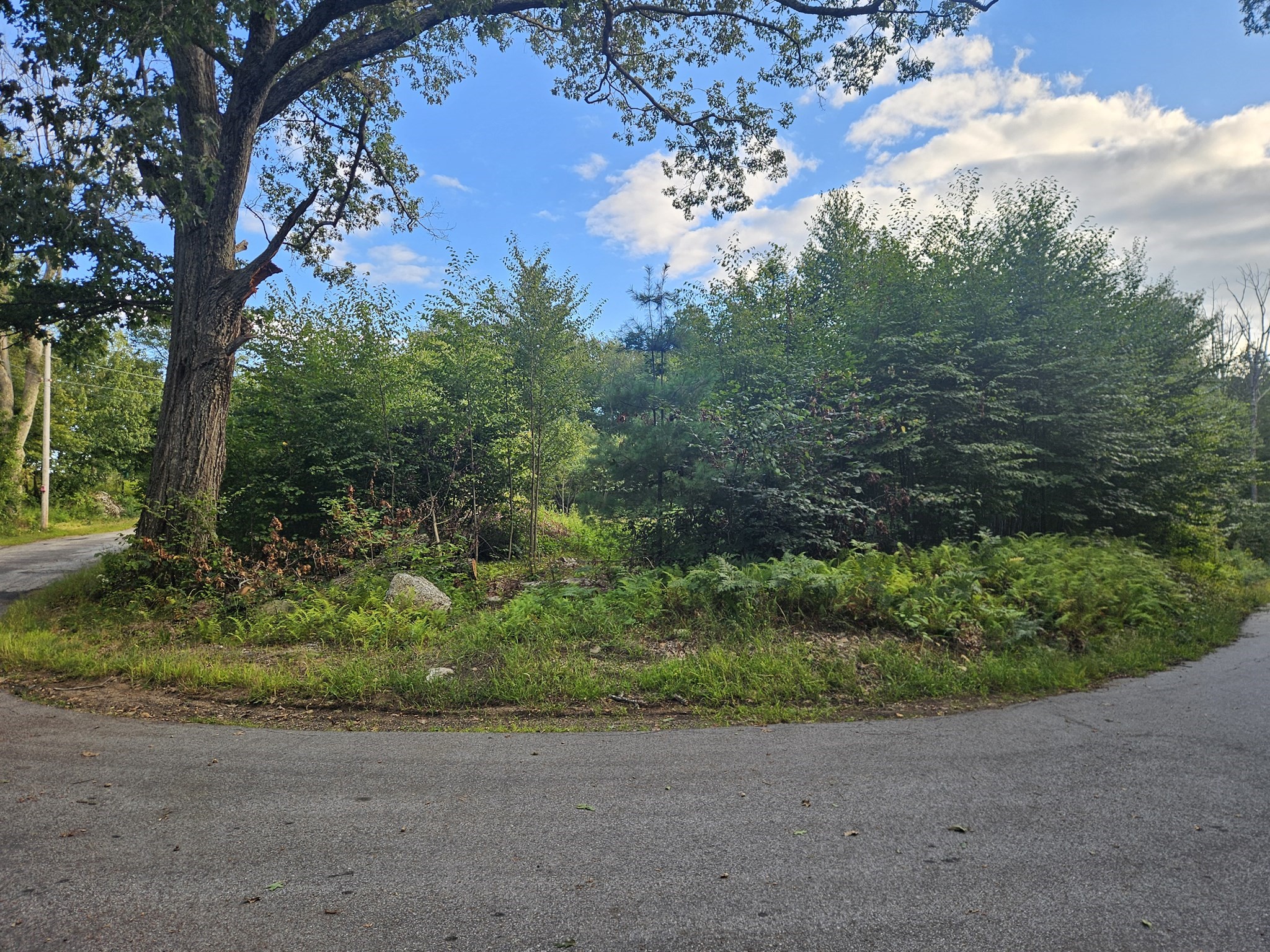 379 Adams, New Braintree, MA 01531 - Image 19