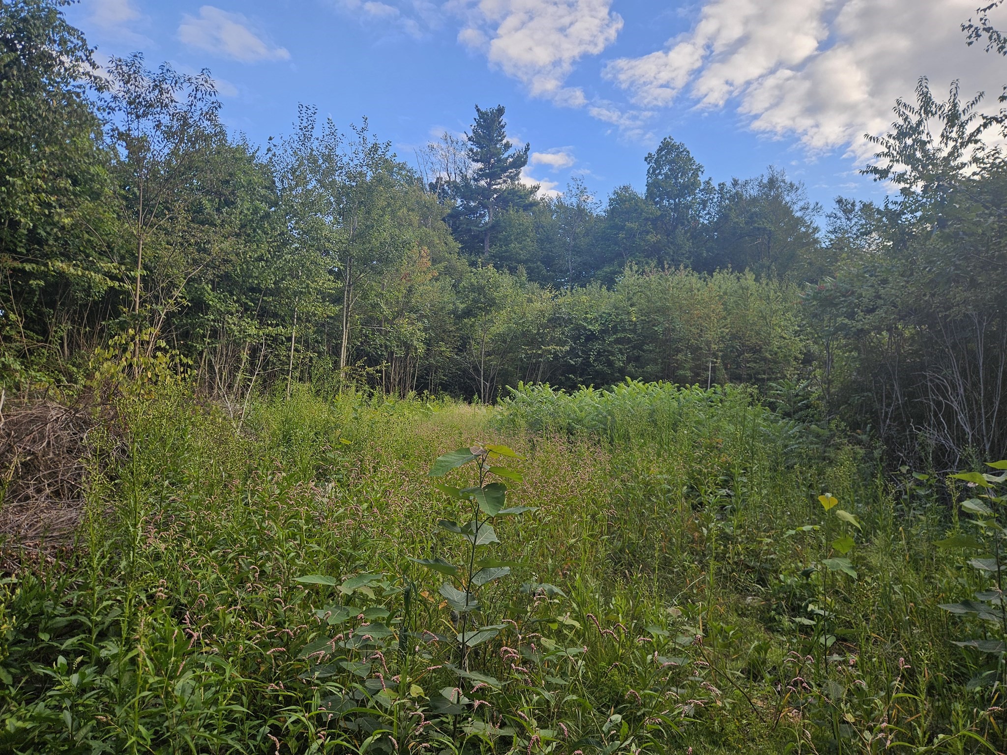 379 Adams, New Braintree, MA 01531 - Image 4