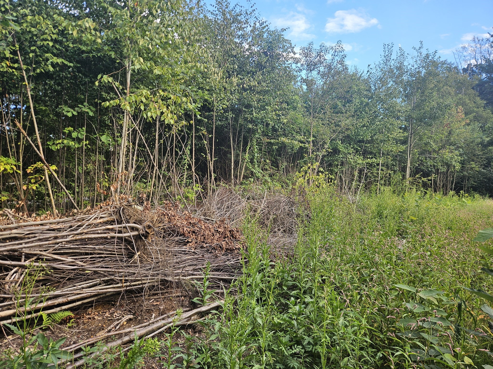 379 Adams, New Braintree, MA 01531 - Image 6