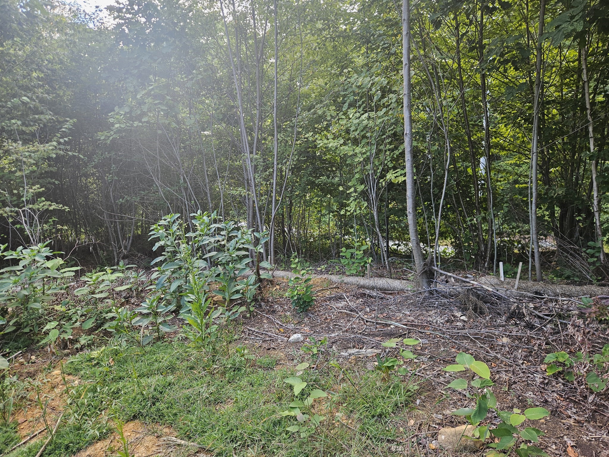 379 Adams, New Braintree, MA 01531 - Image 7