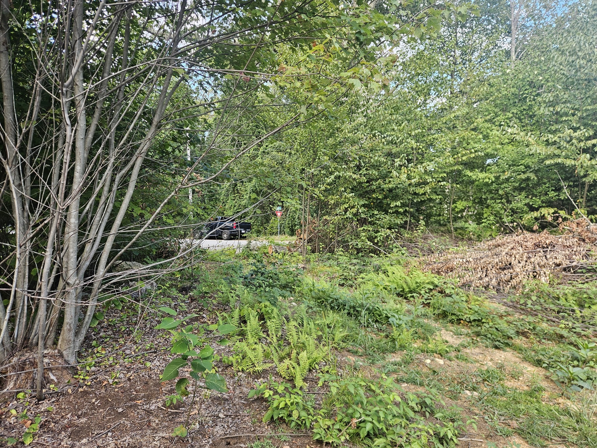 379 Adams, New Braintree, MA 01531 - Image 10