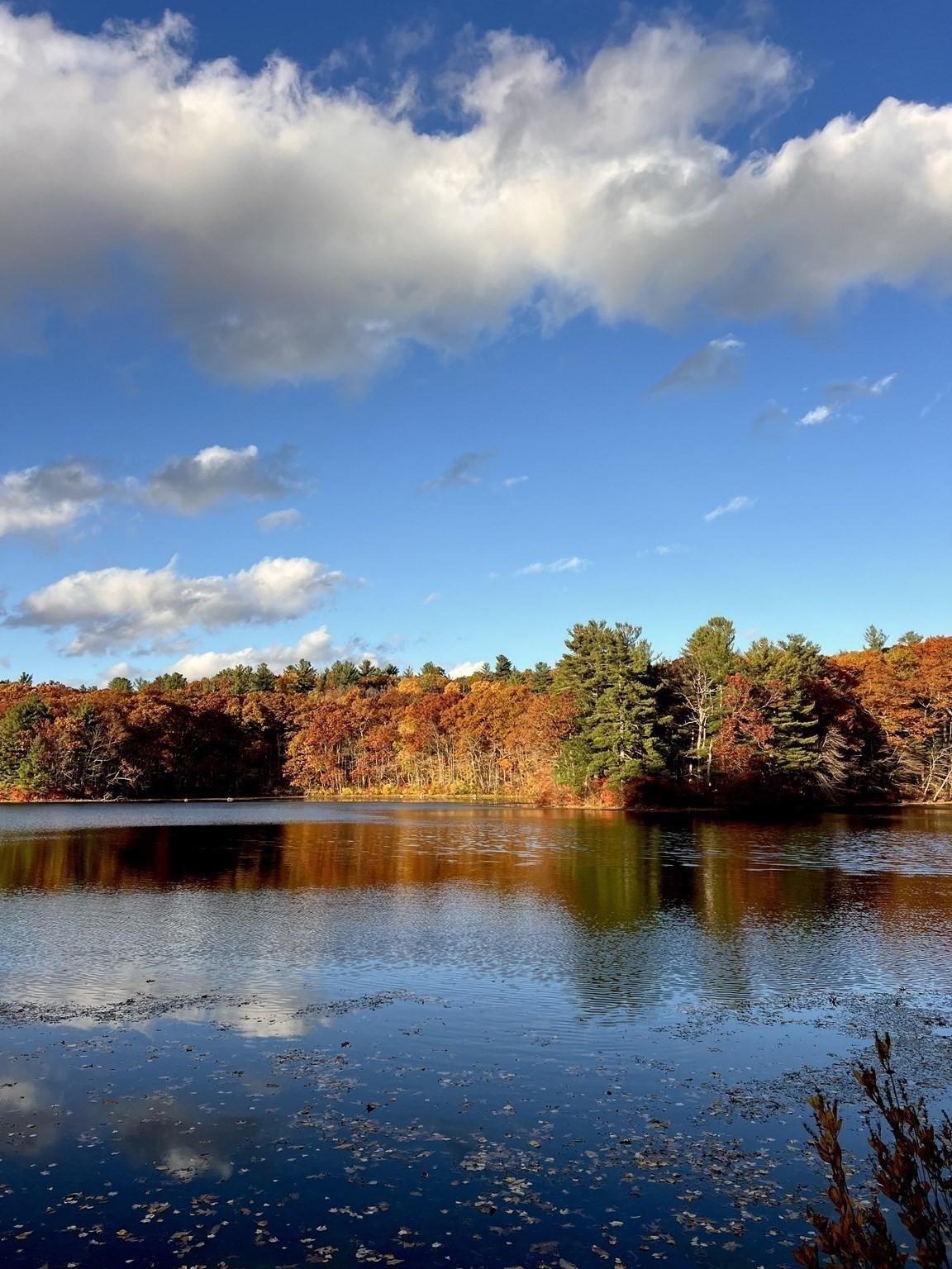 102 River Street, Leicester, MA 01542 - Image 23