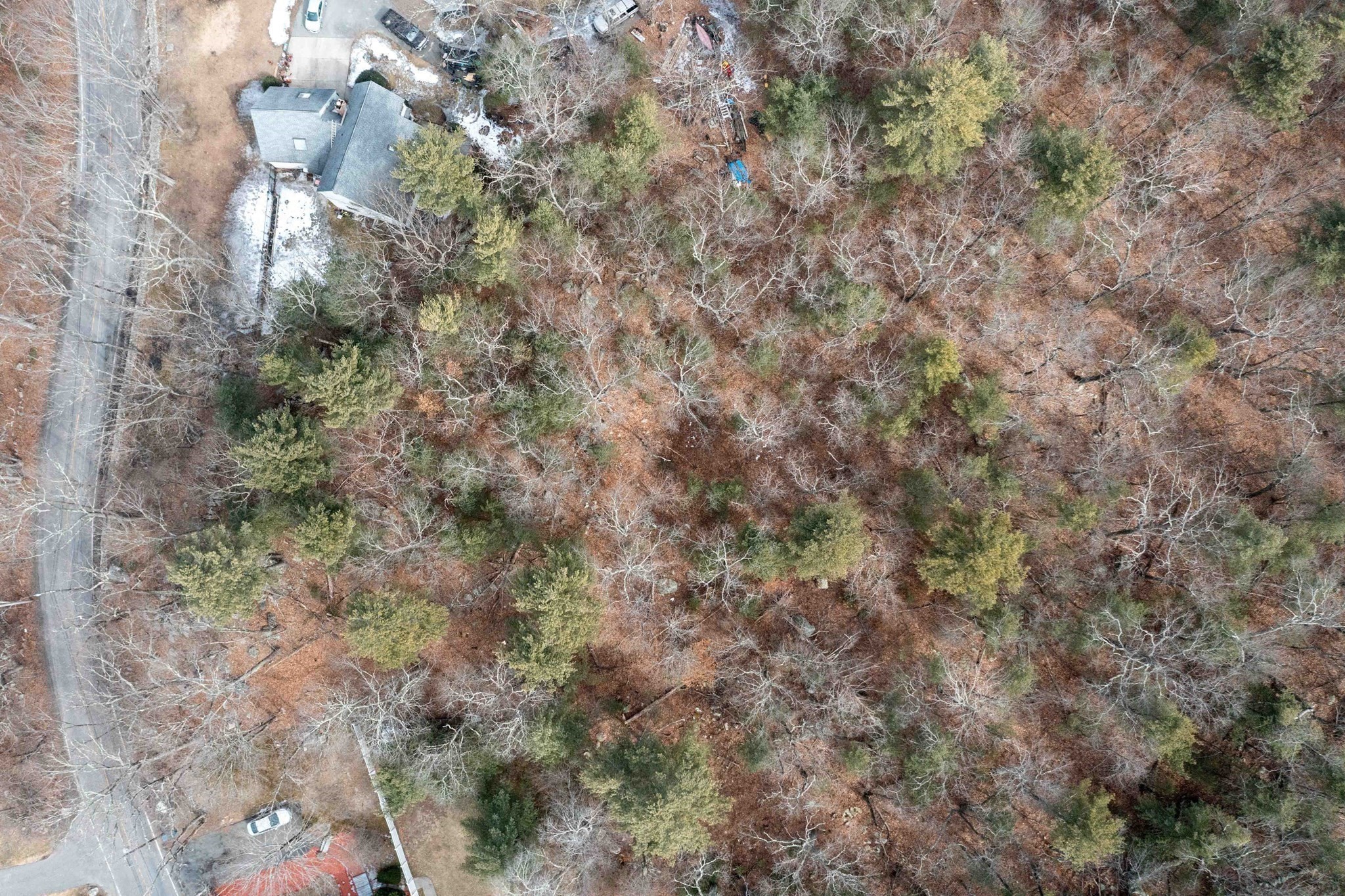 106 Indian Ln, Canton, MA 02021 - Image 21