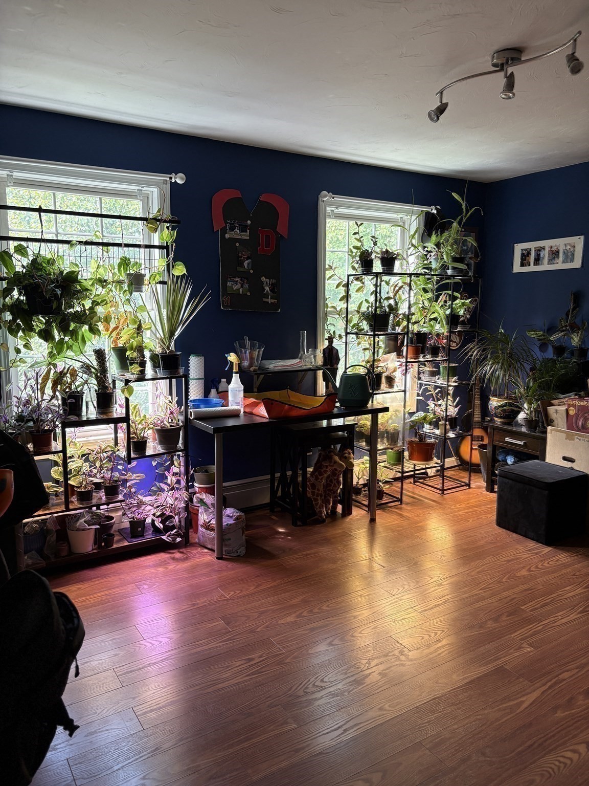 810 Tremont St, Dighton, MA 02764 - Image 18