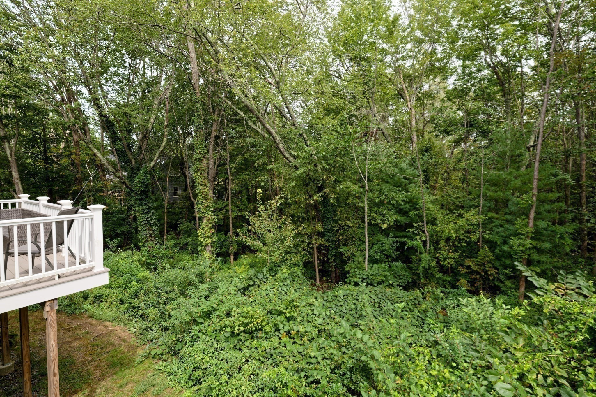 60 Spencer St Unit 60, Millis, MA 02054 - Image 40