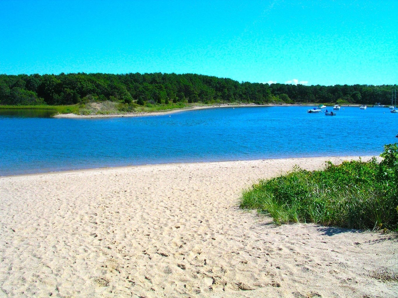 7 Yale Dr, Falmouth, MA 02536 - Image 2