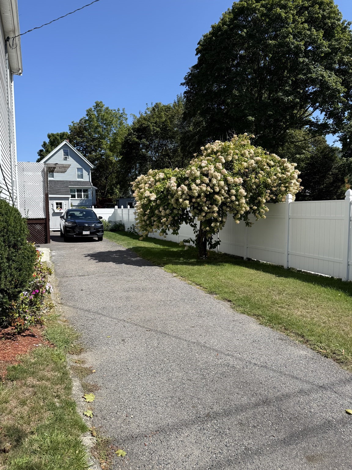 116 Dana Ave, Hyde Park, Boston, MA 02136 - Image 10