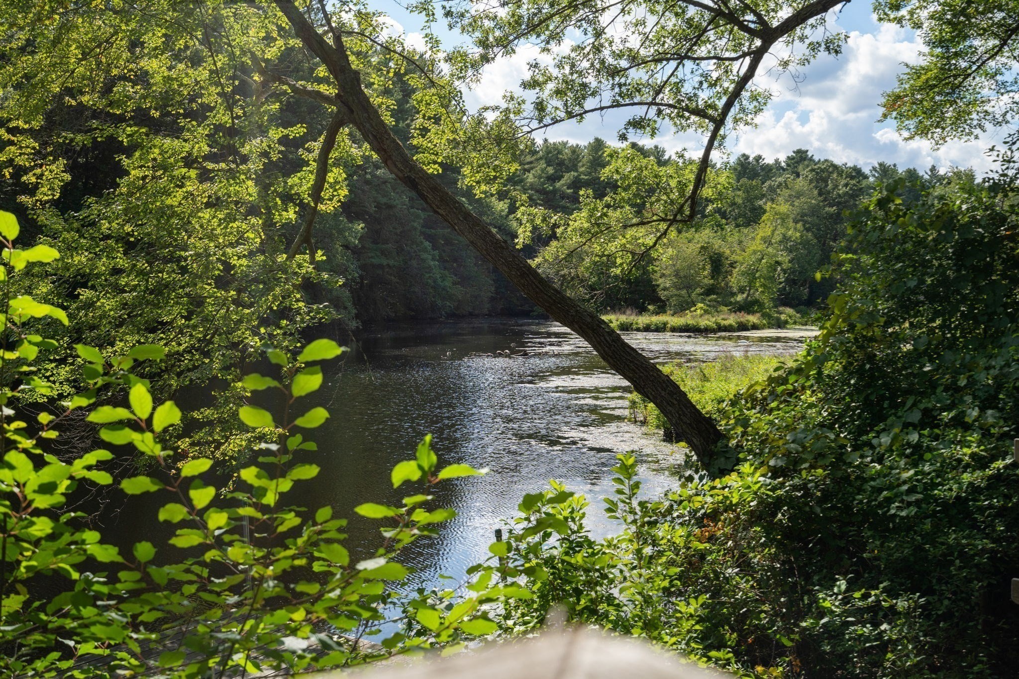 182 Winding River Road, Wellesley, MA 02482 - Image 35