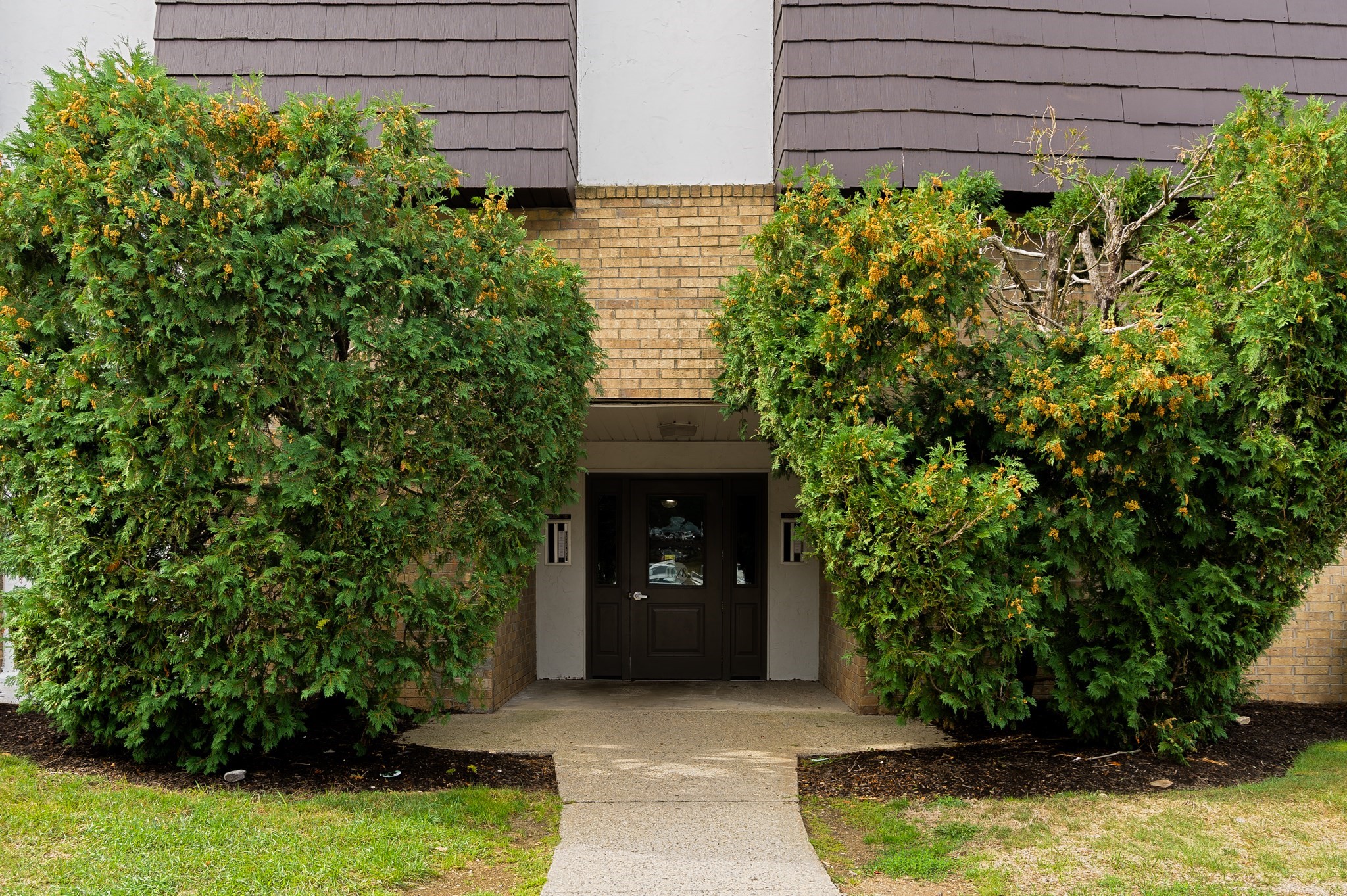 8 Shadowbrook Ln Unit 39, Milford, MA 01757 - Image 3