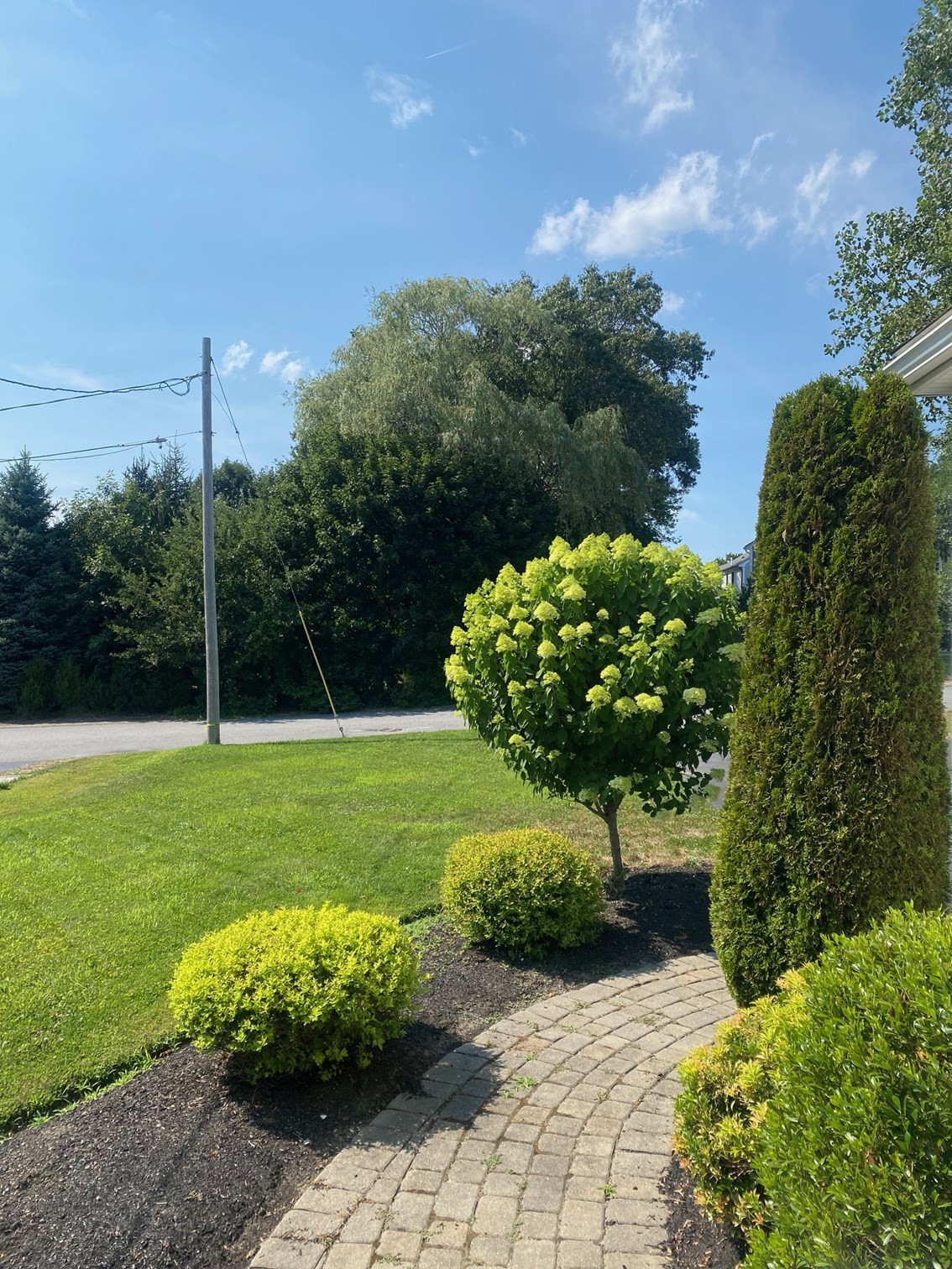 19 Geordan Ave, Bellingham, MA 02019 - Image 3