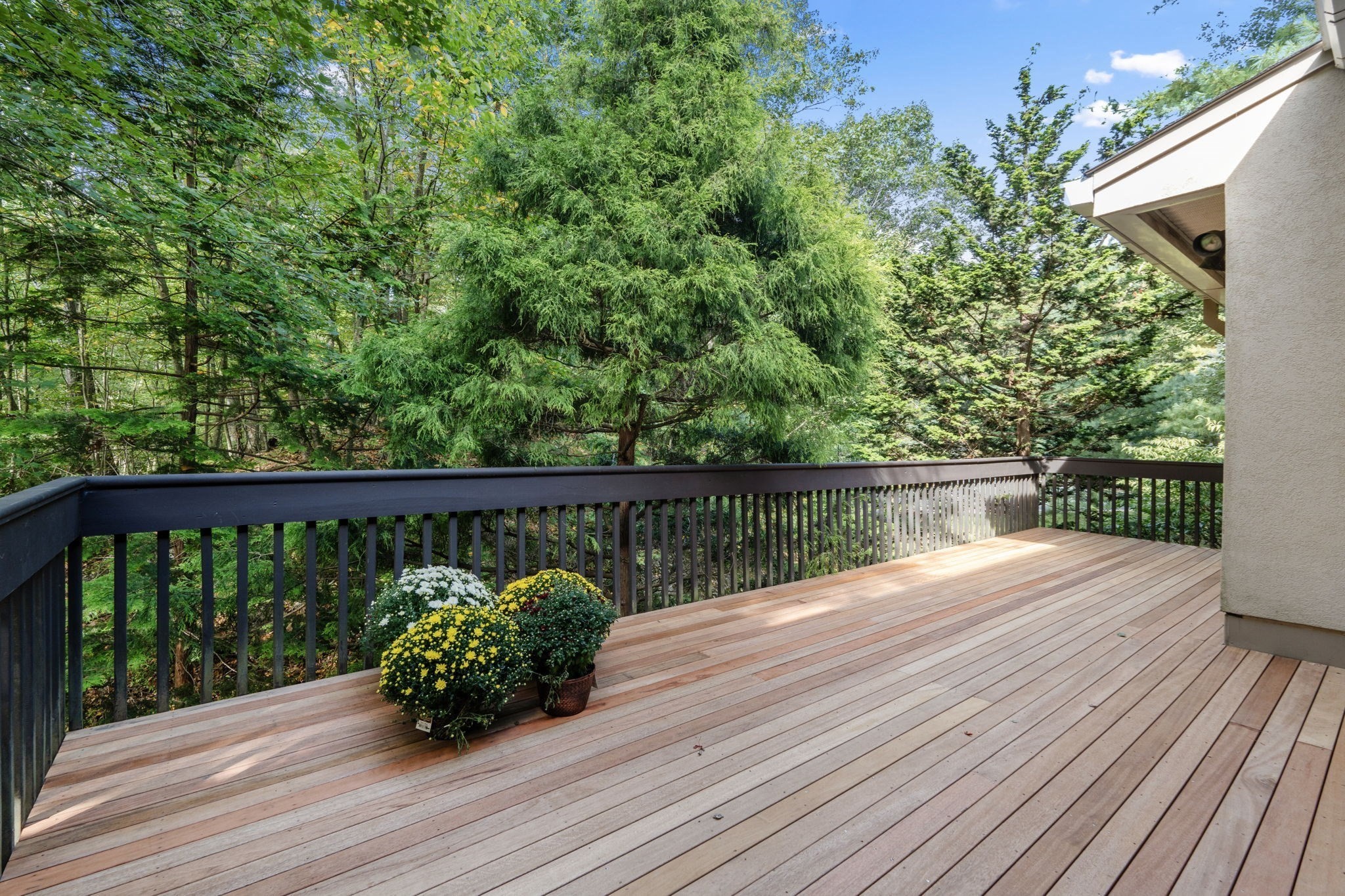 214 Allandale Rd Unit B, West Roxbury, Boston, MA 02467 - Image 24