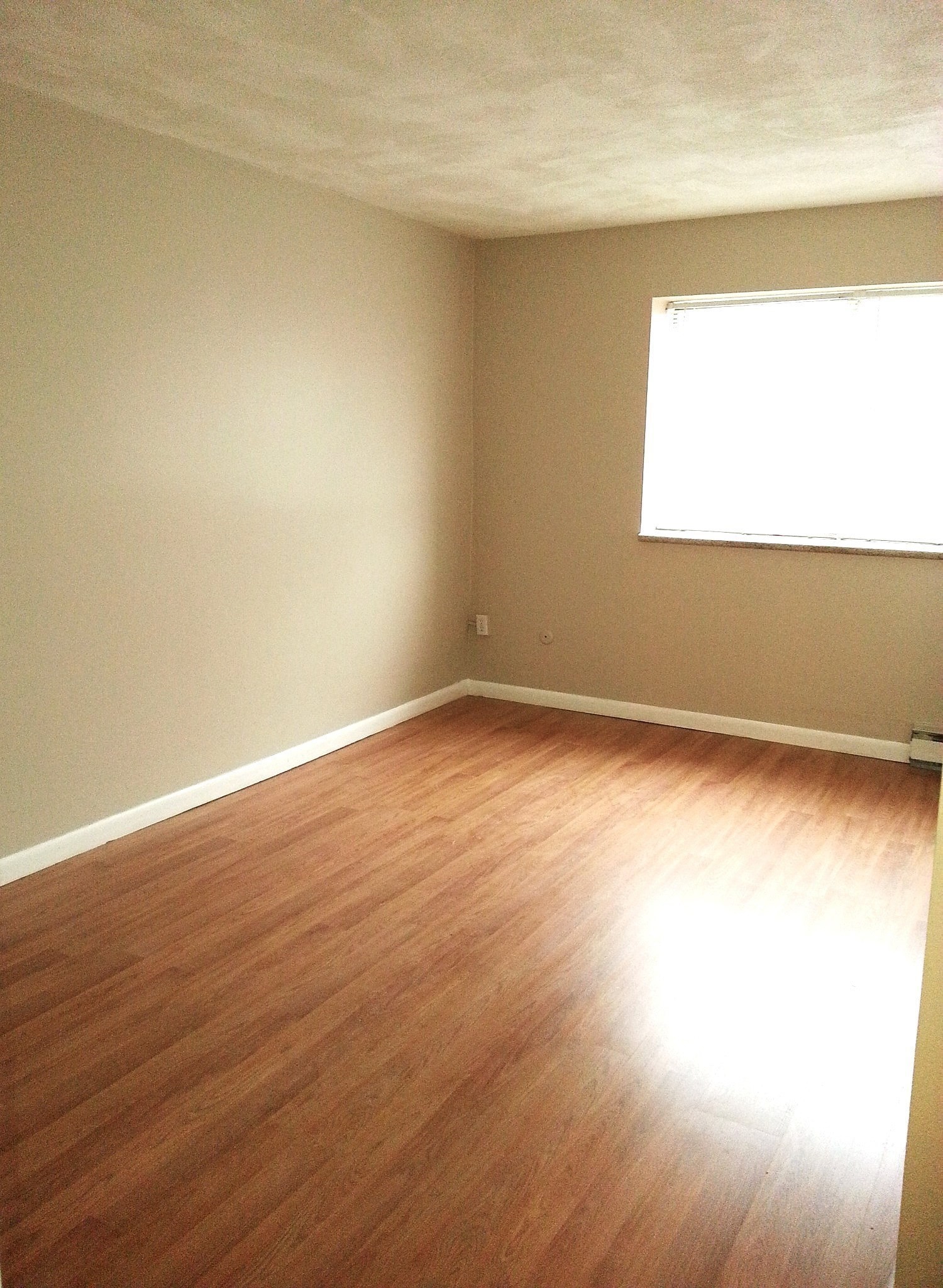 26 Willis St Unit 33, Framingham, MA 01702 - Image 2