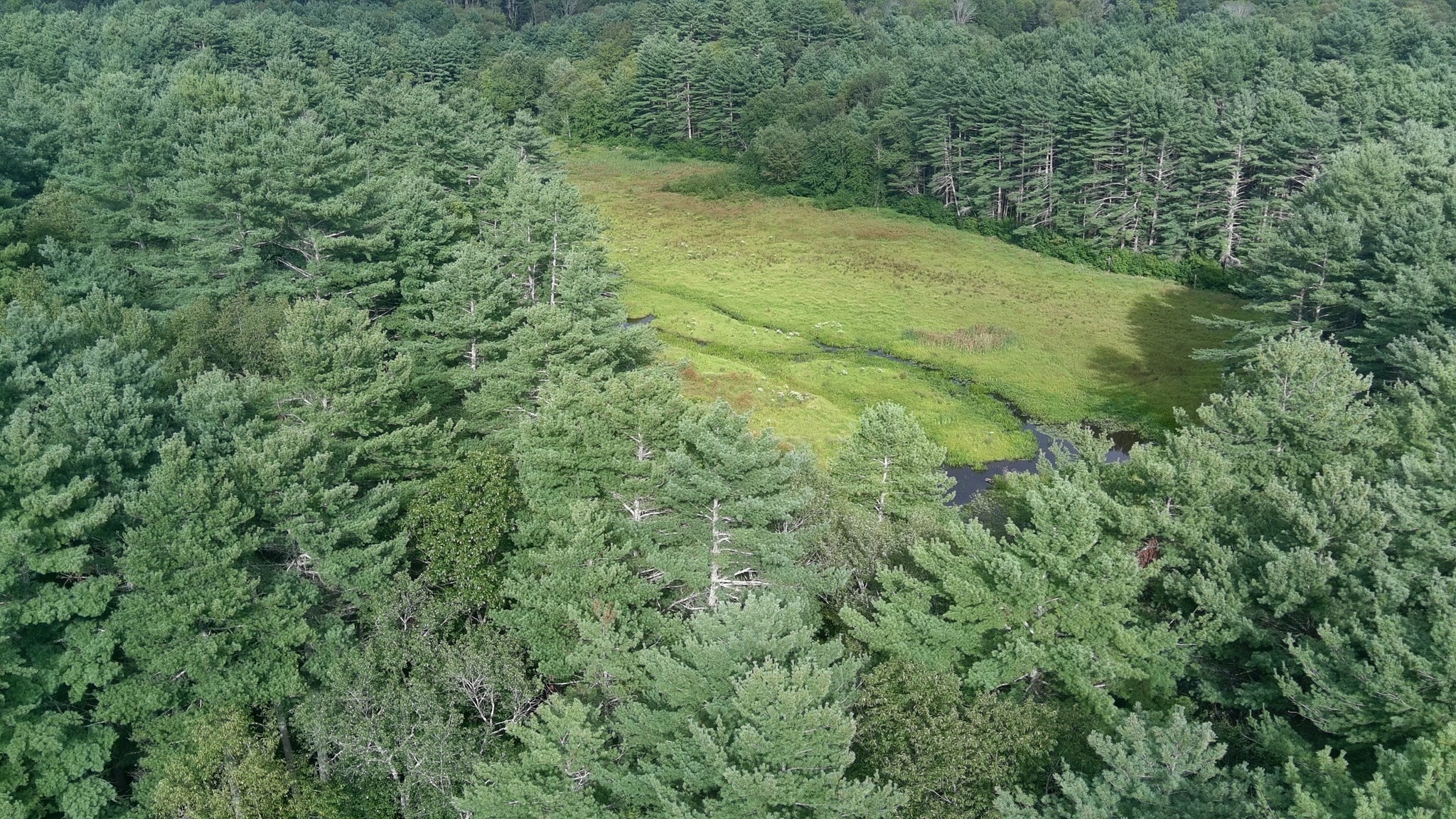 0 Blood Road, Charlton, MA 01507 - Image 2