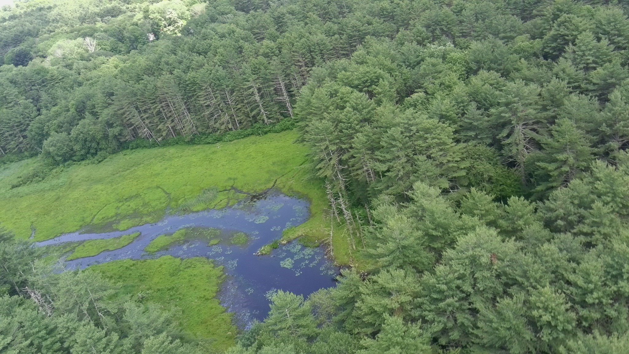 0 Blood Road, Charlton, MA 01507 - Image 4