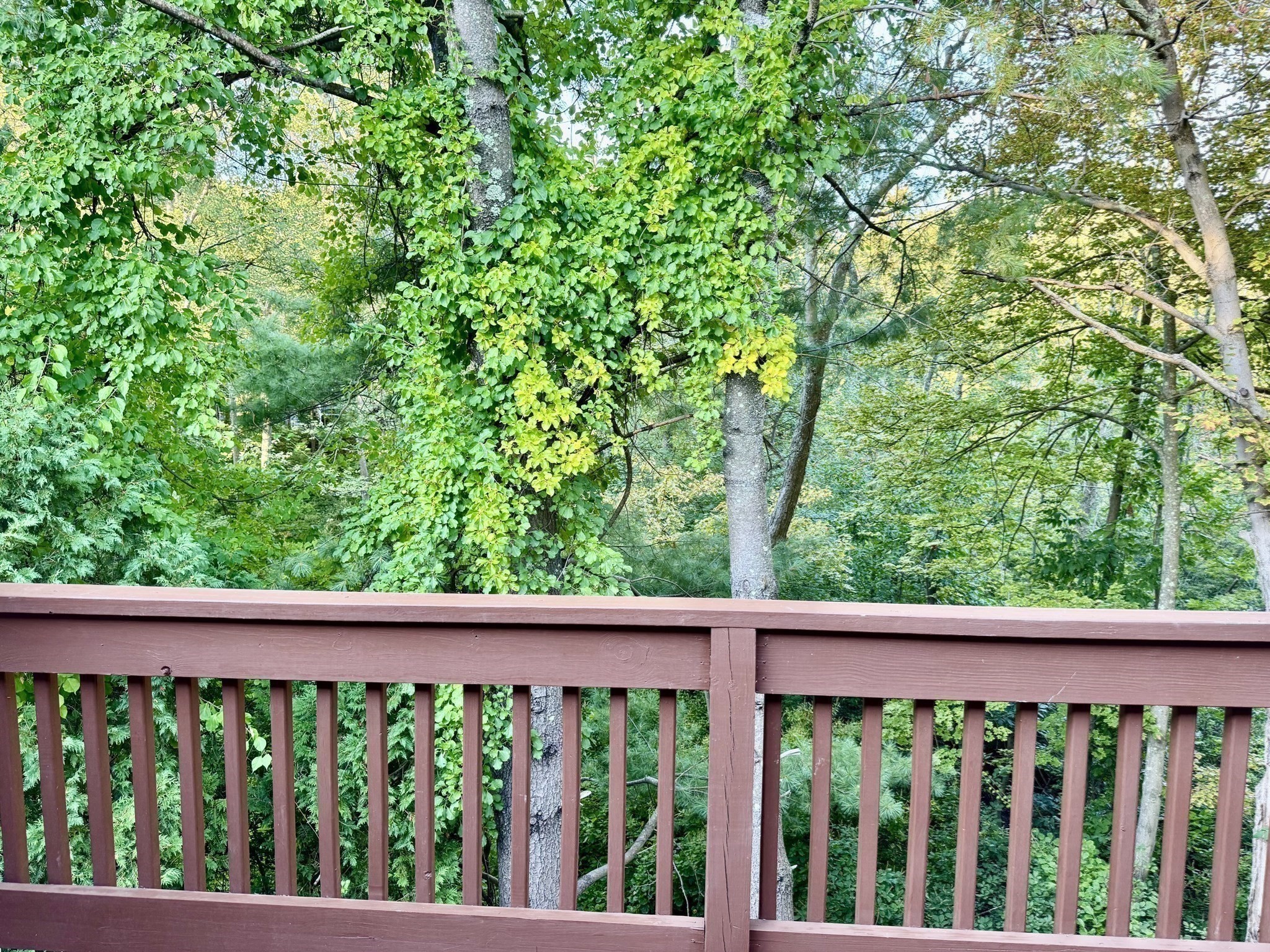 22 Celestial Way Unit 22, Salem, MA 01970 - Image 35