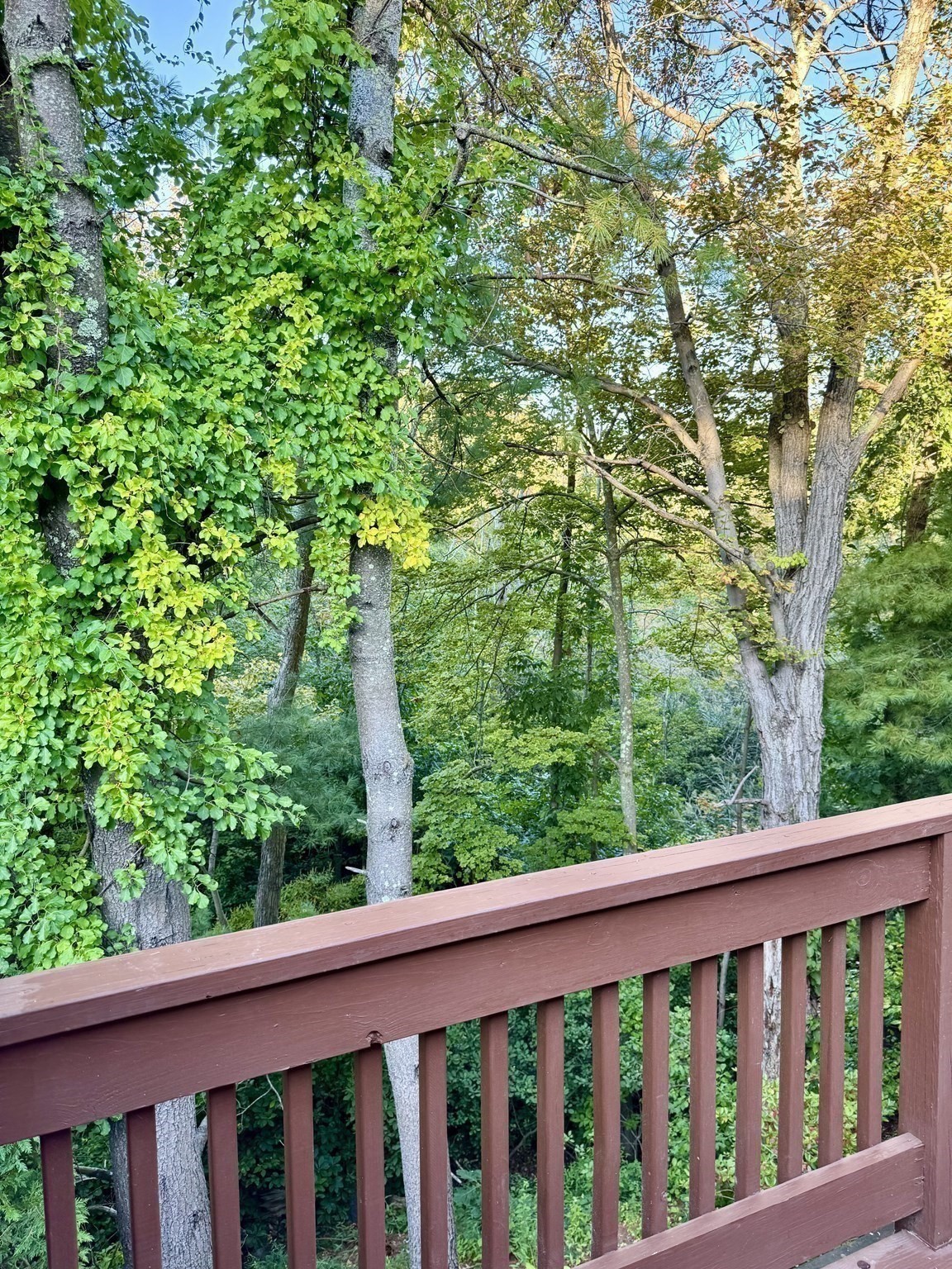 22 Celestial Way Unit 22, Salem, MA 01970 - Image 36