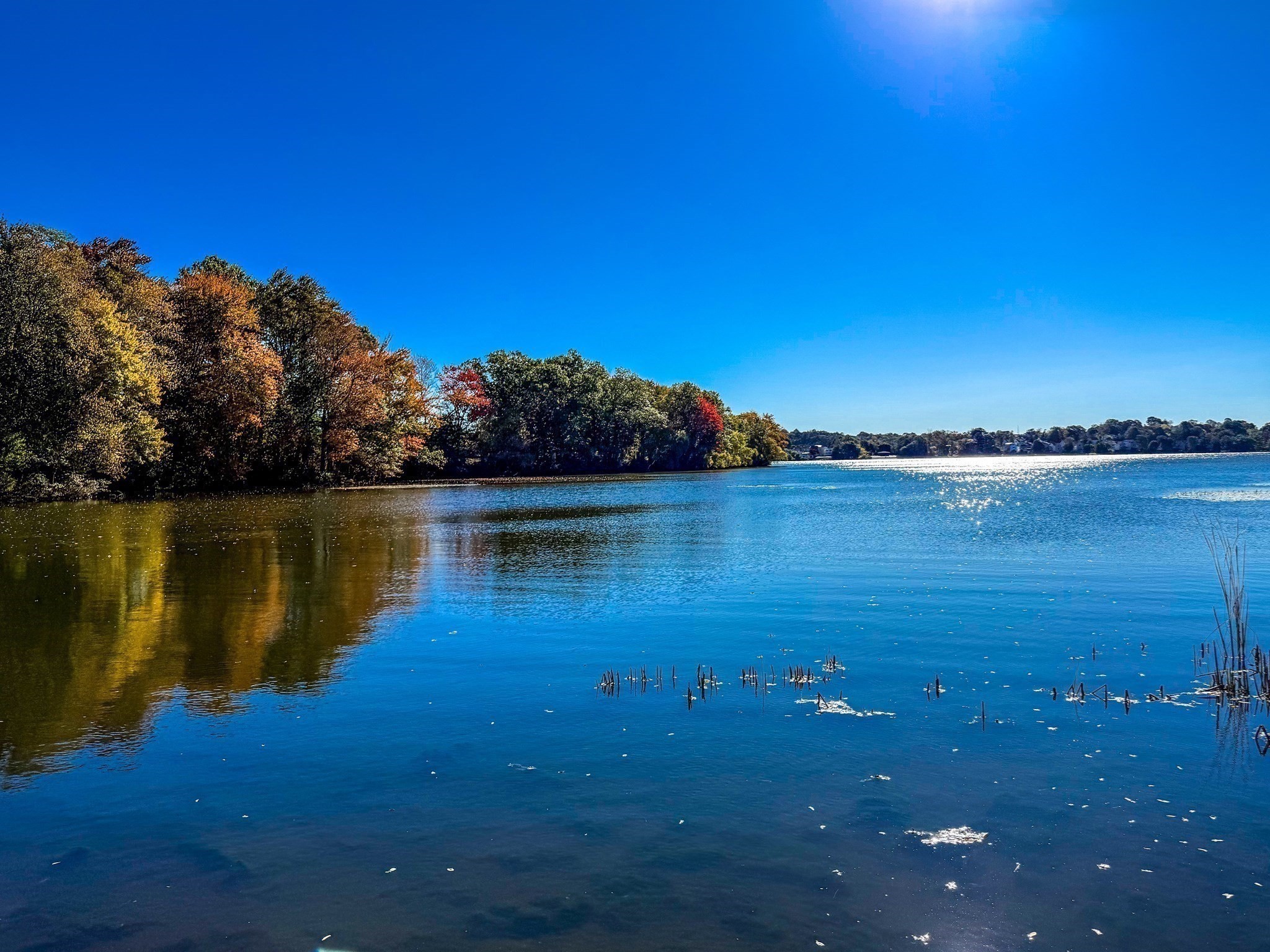 82 Holden St, Worcester, MA 01605 - Image 2