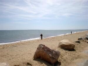 1 Upland Circle Unit 1, Mashpee, MA 02649 - Image 32