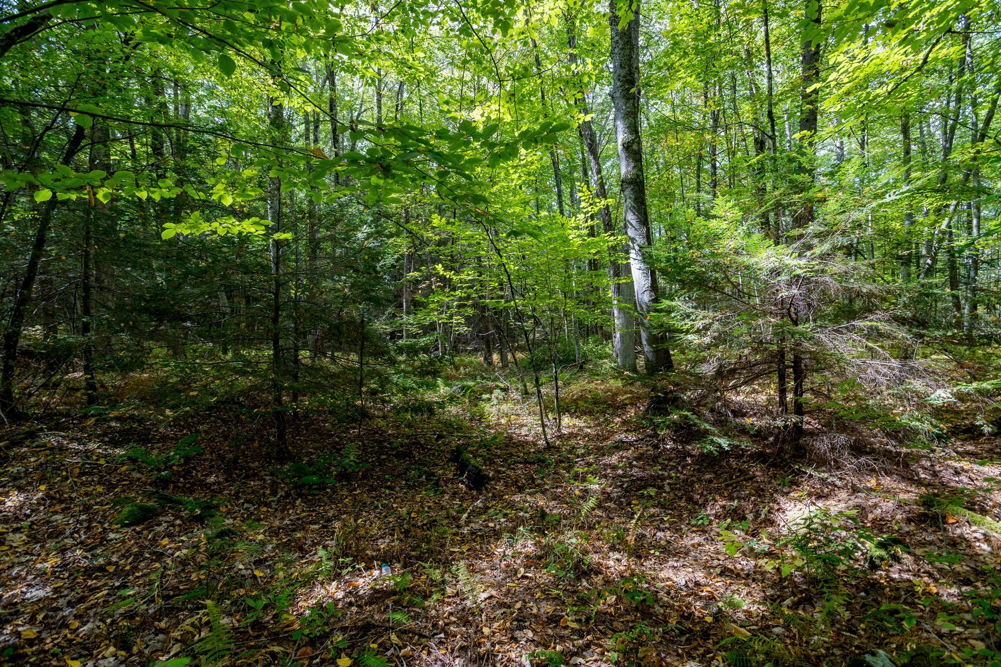 0 Riceville, Athol, MA 01331 - Image 11