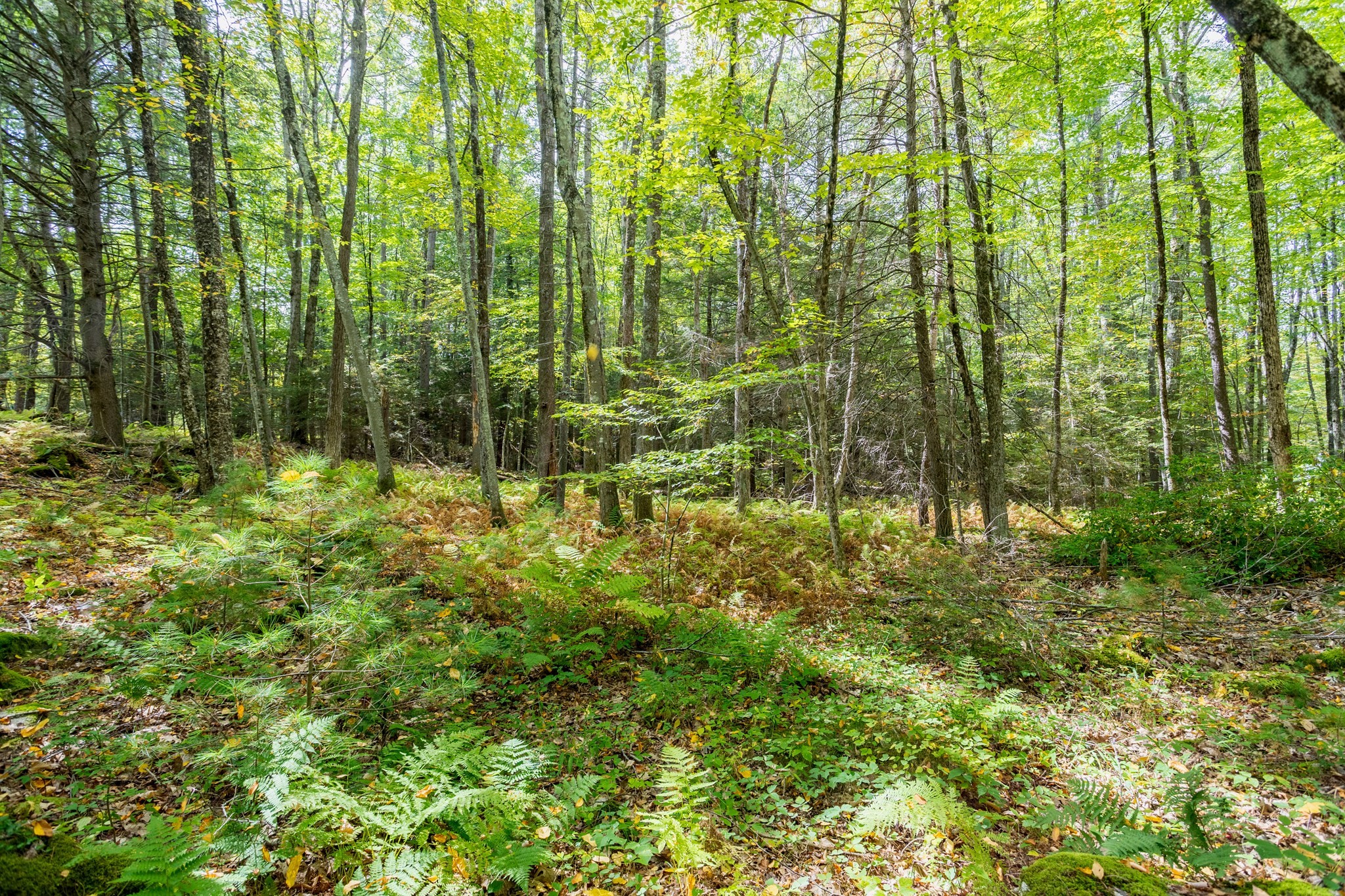 0 Riceville, Athol, MA 01331 - Image 12